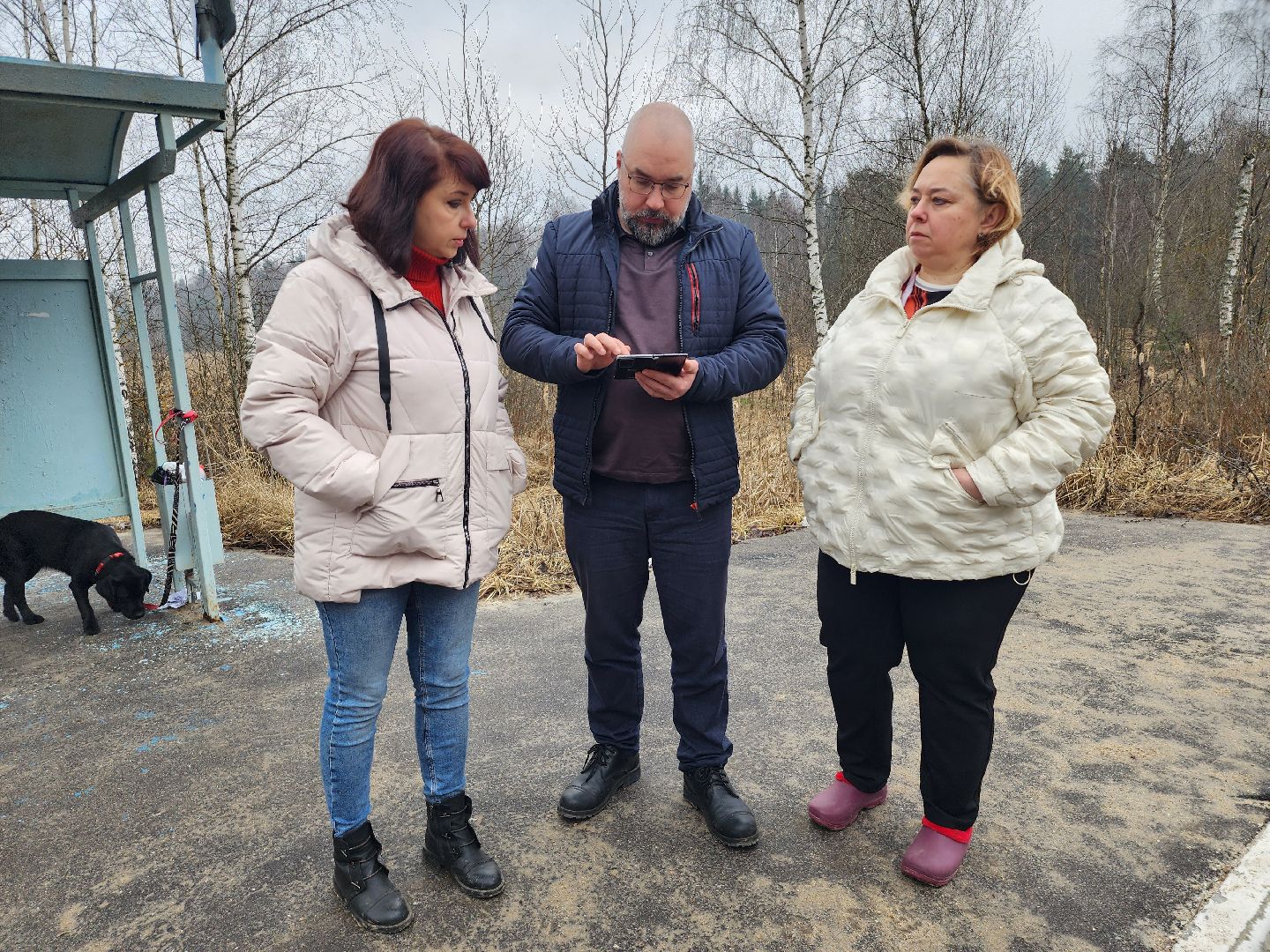 деревня нижнее шахлово, серпухов, автобусная остановка, СНТ Воронино-1, встреча с депутатом,