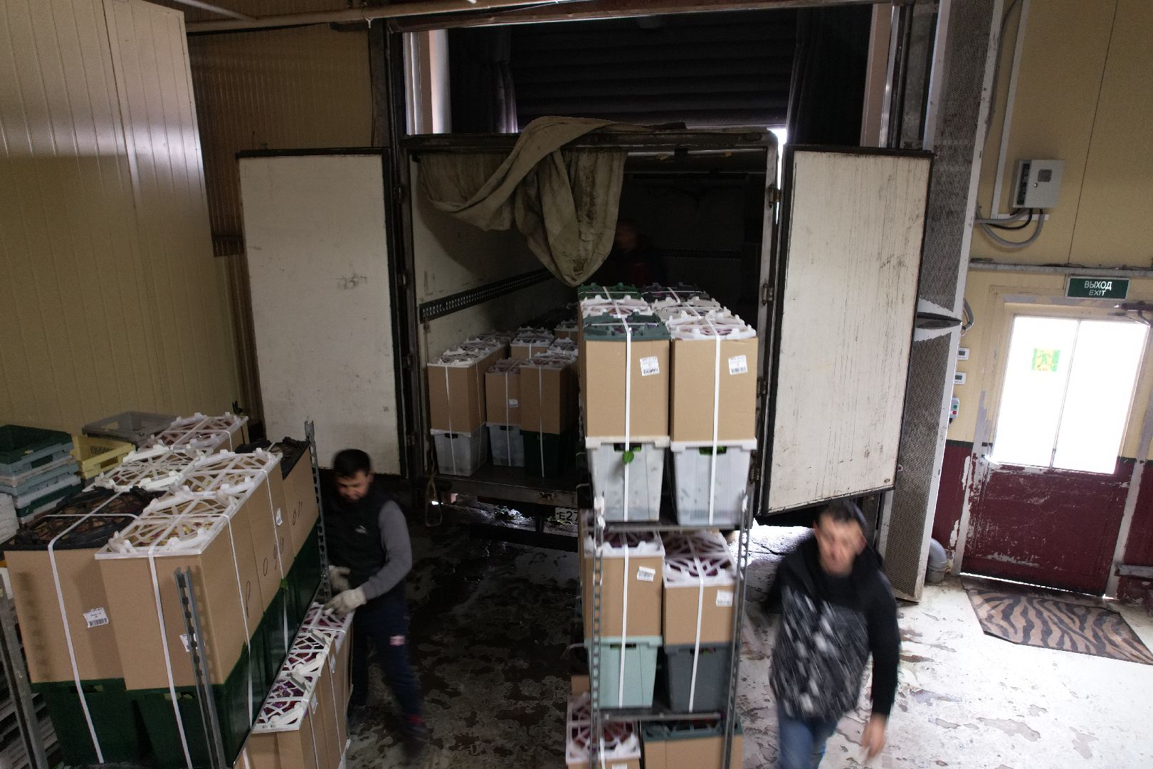 видео с коптера, дмитров, тепличный комплекс,