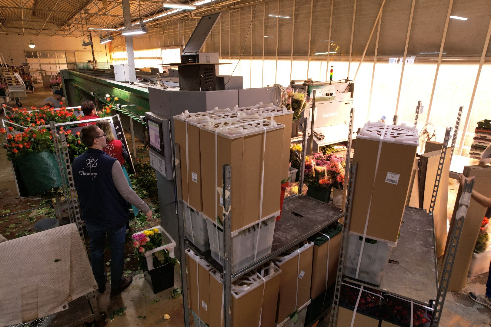 видео с коптера, дмитров, тепличный комплекс,