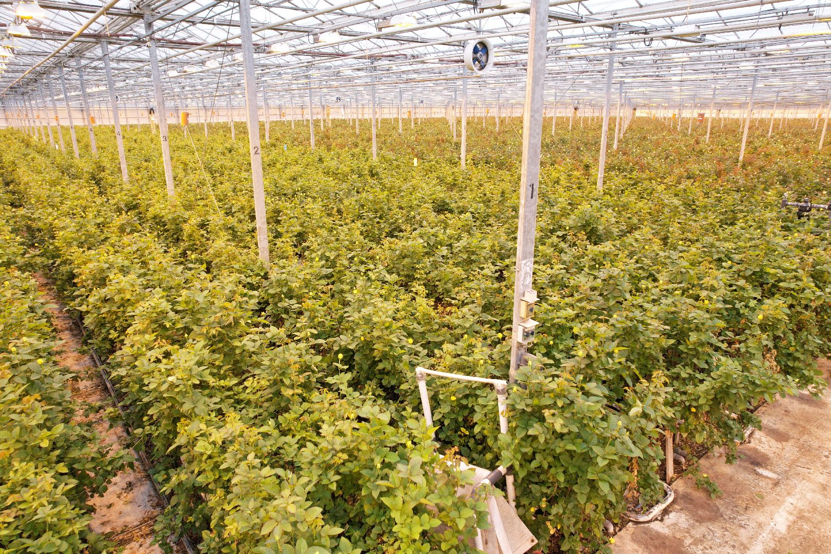 видео с коптера, дмитров, тепличный комплекс,