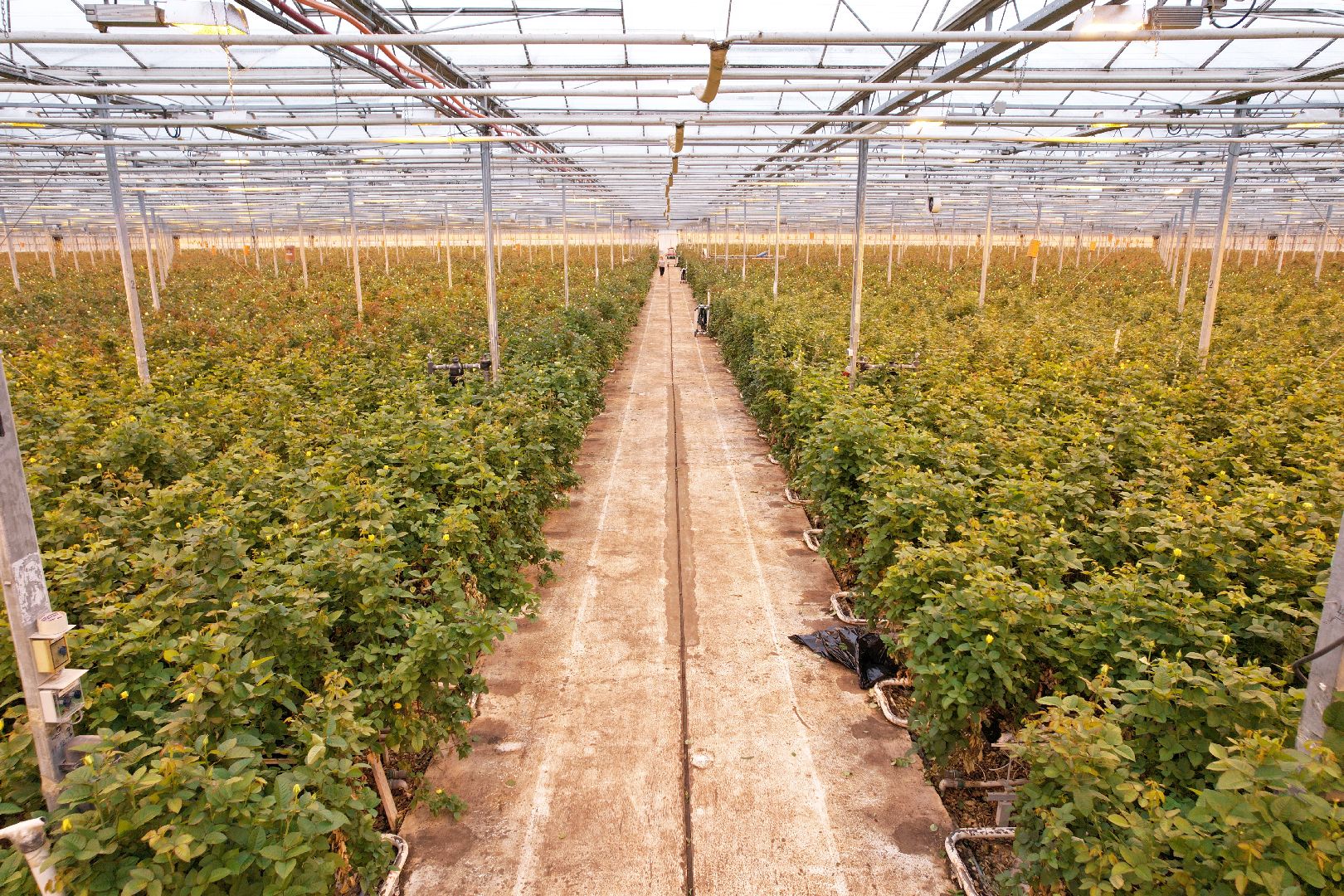 видео с коптера, дмитров, тепличный комплекс,