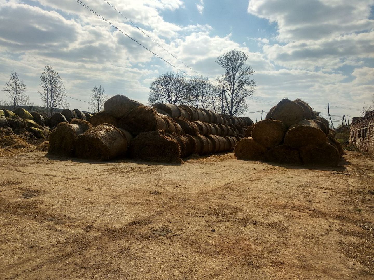 Дмитров, Мосагрофуд, Минсельхоз МО