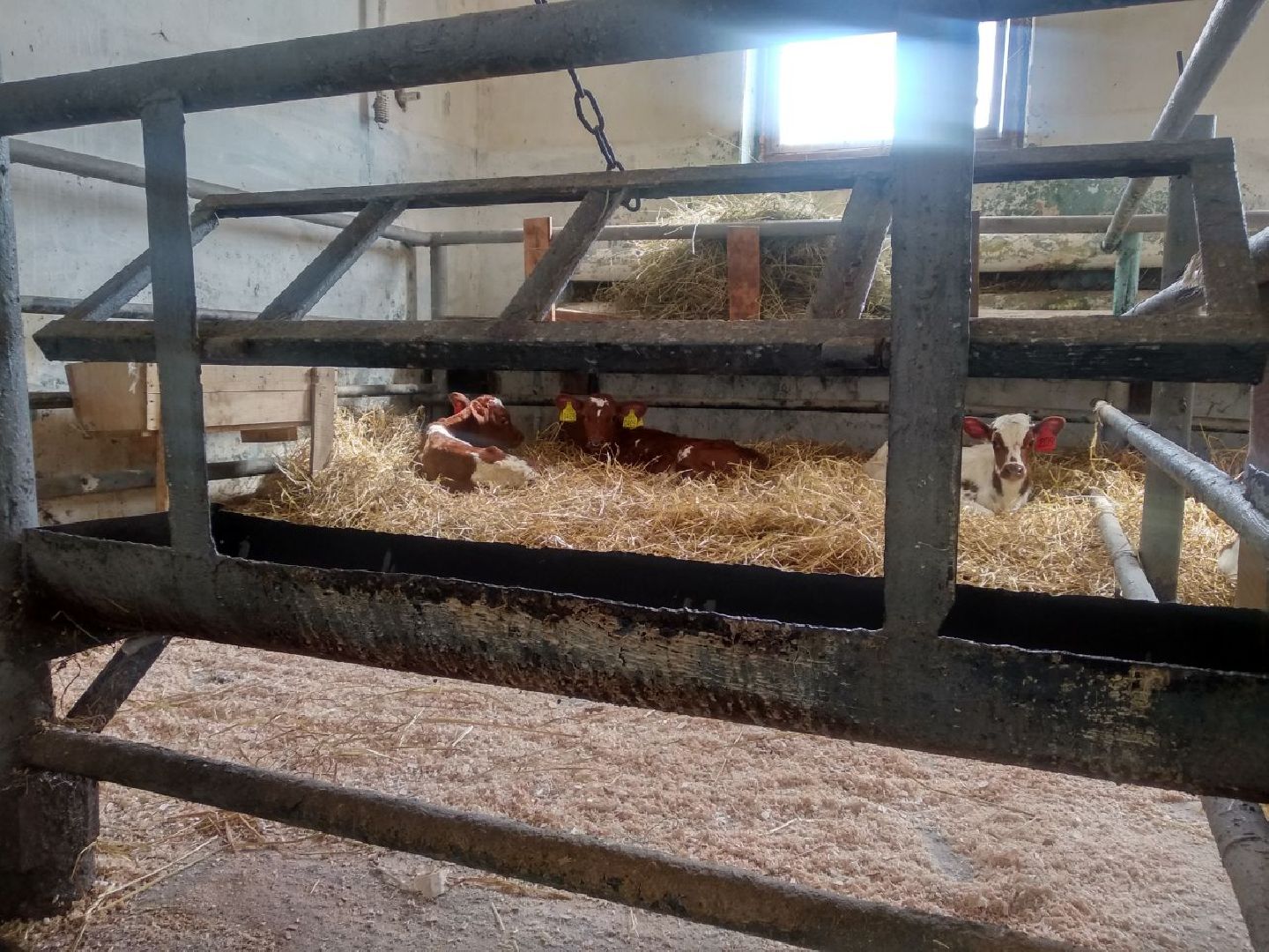 Дмитров, Мосагрофуд, Минсельхоз МО