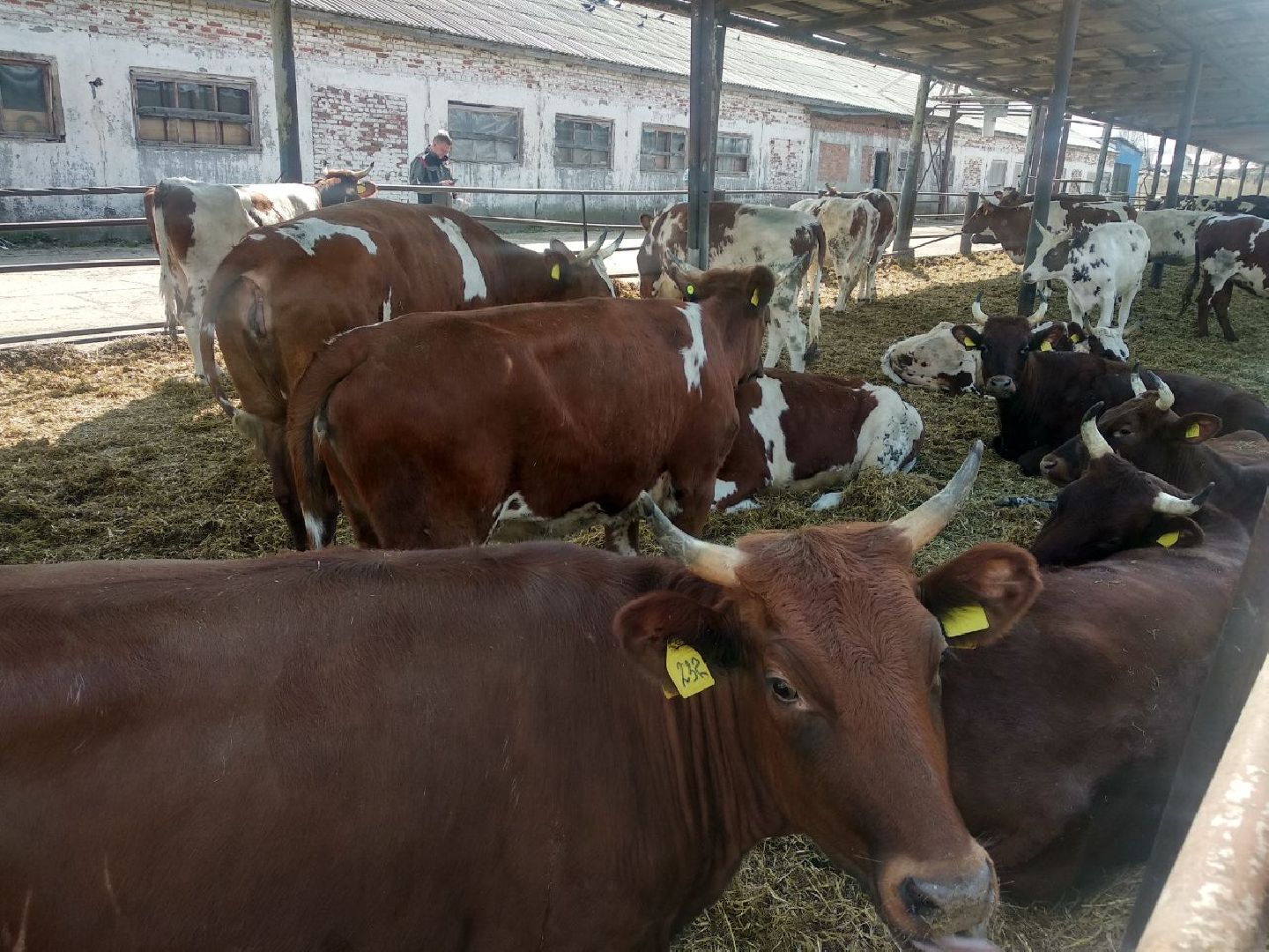 Дмитров, Мосагрофуд, Минсельхоз МО