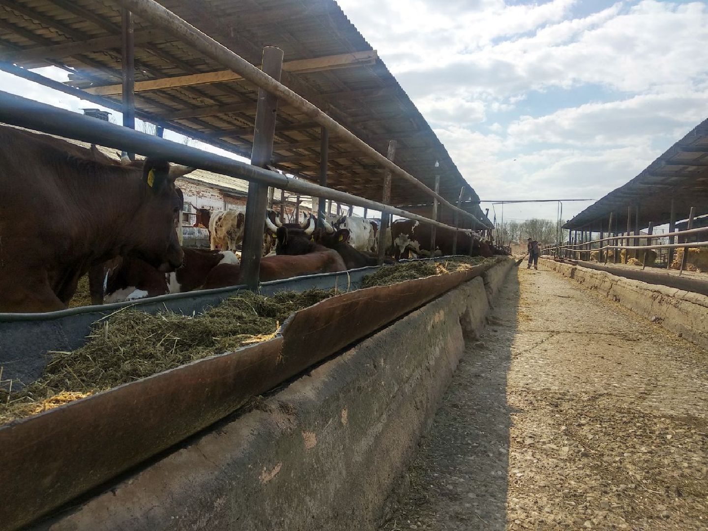 Дмитров, Мосагрофуд, Минсельхоз МО