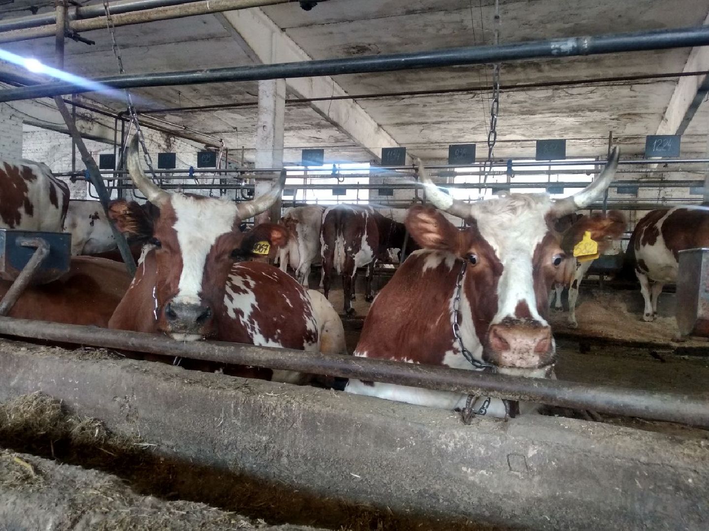 Дмитров, Мосагрофуд, Минсельхоз МО