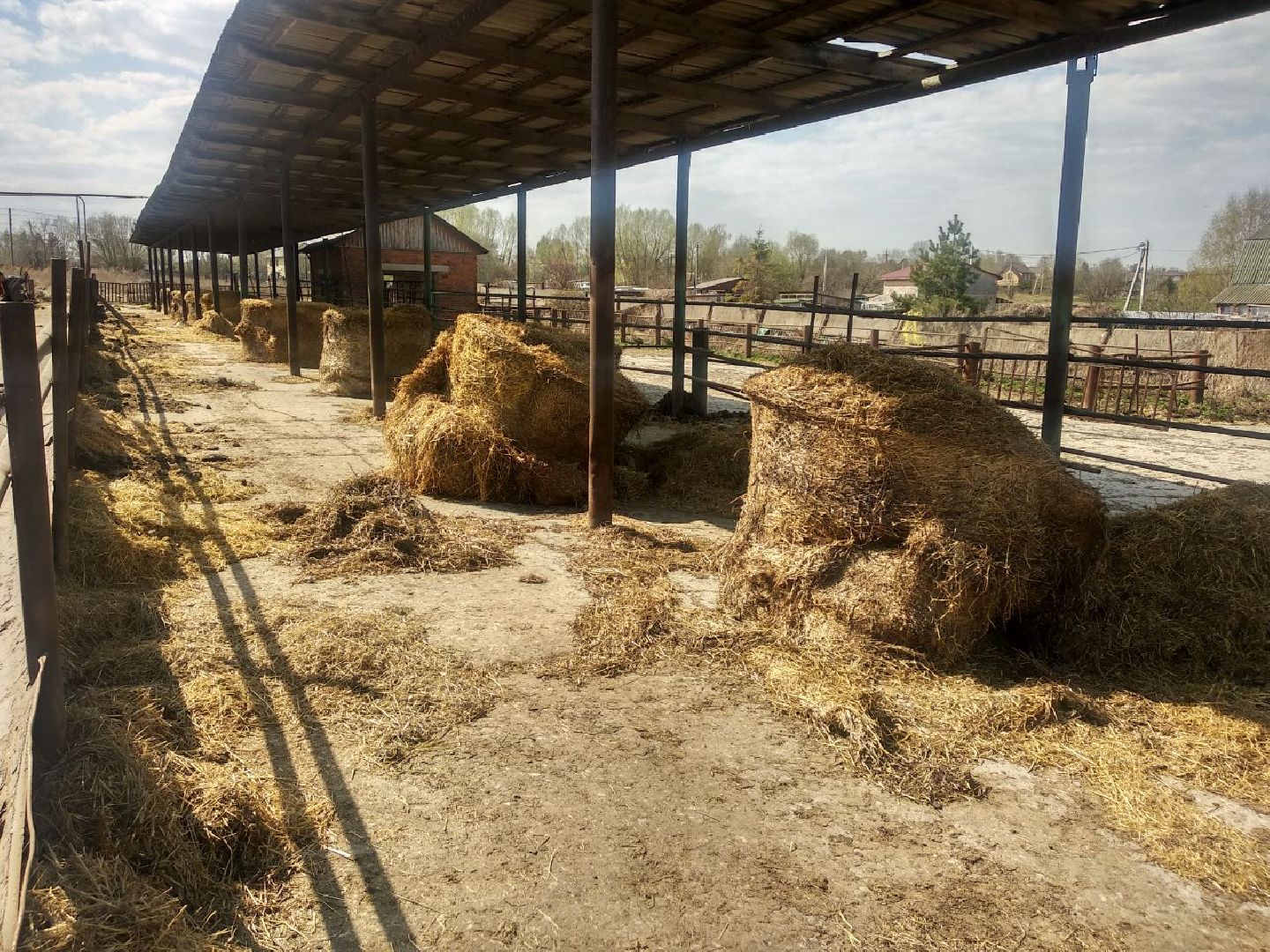 Дмитров, Мосагрофуд, Минсельхоз МО