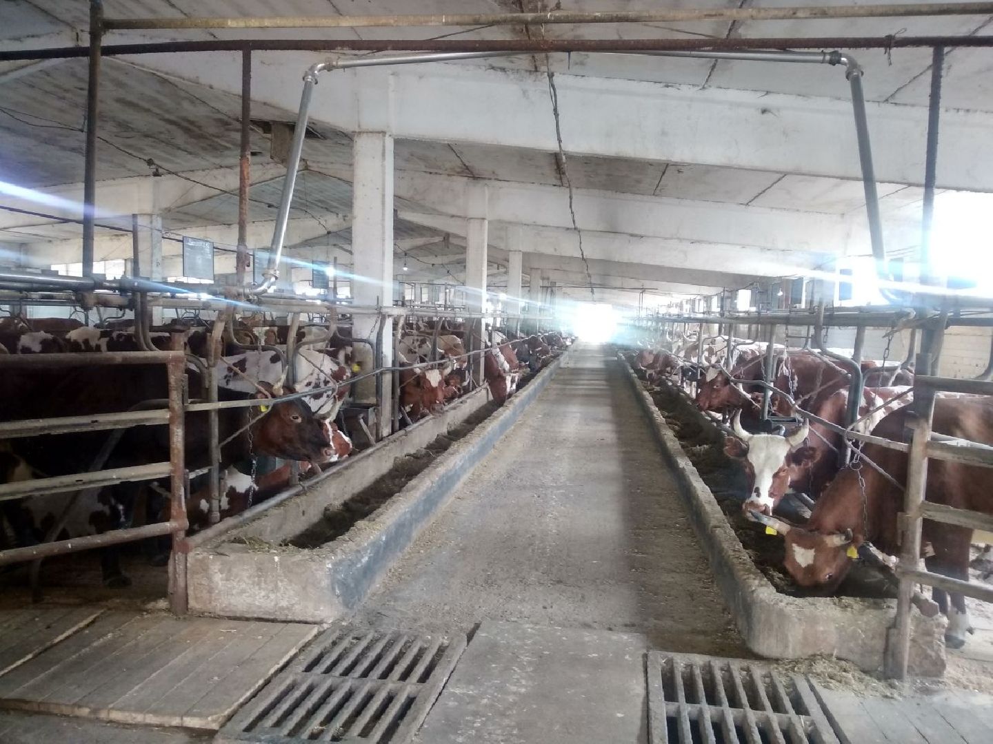 Дмитров, Мосагрофуд, Минсельхоз МО