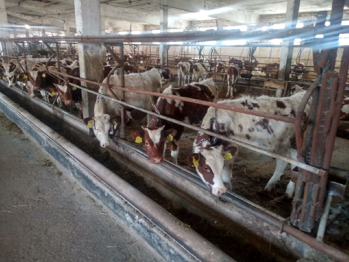 Дмитров, Мосагрофуд, Минсельхоз МО