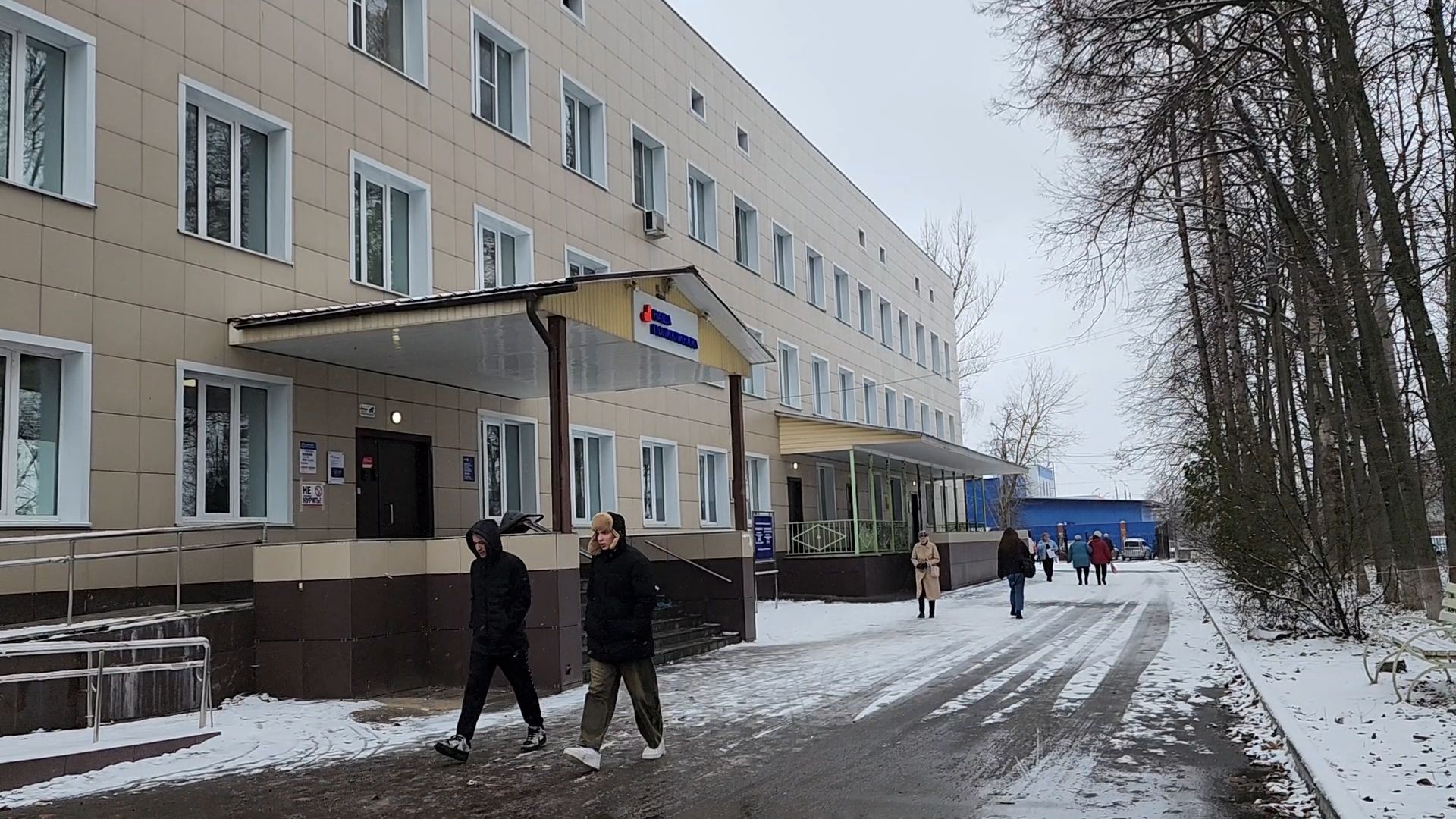 Бронницы, Бронницкая больница, Укус змеи, Что делать при укусе змеи,