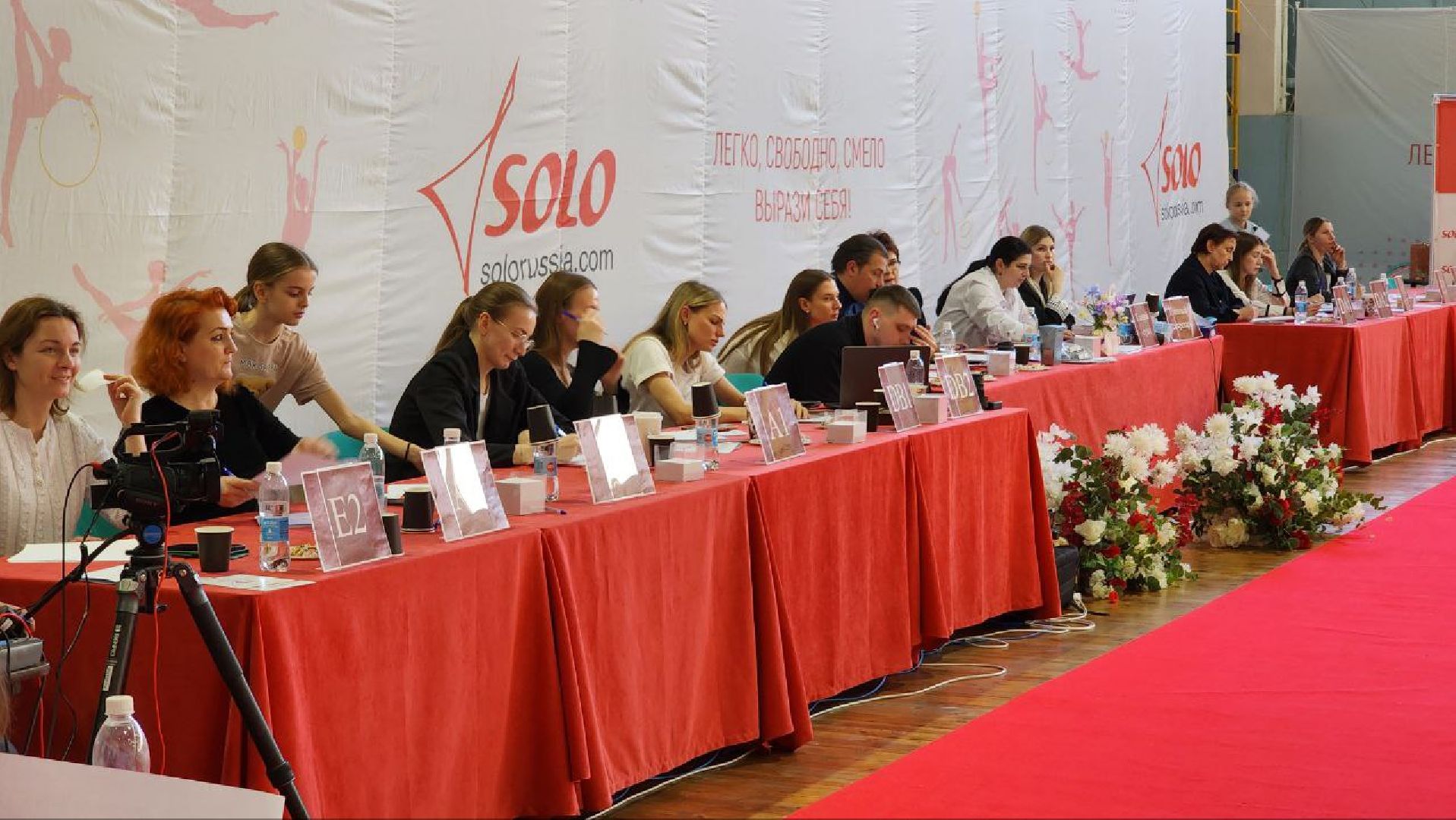 Дмитров, Художественная гимнастика, Минспорта,