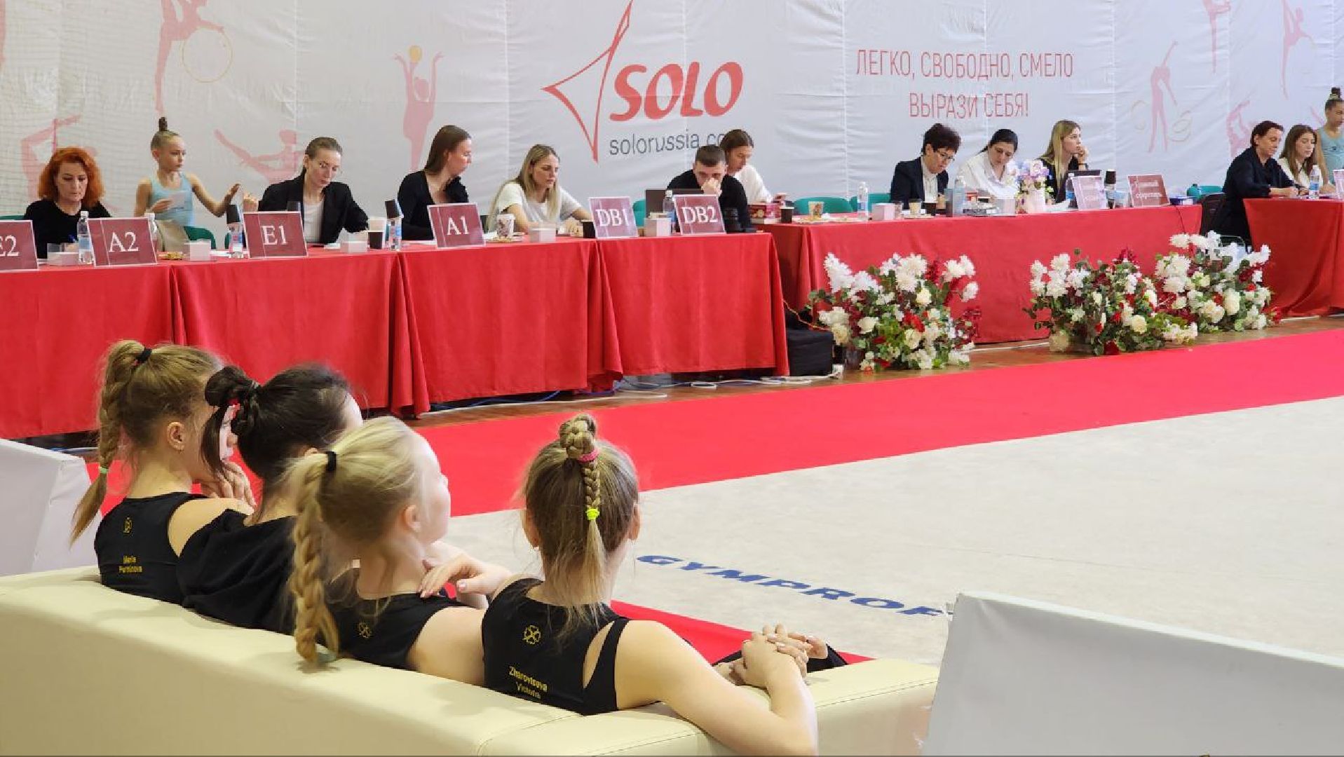 Дмитров, Художественная гимнастика, Минспорта,