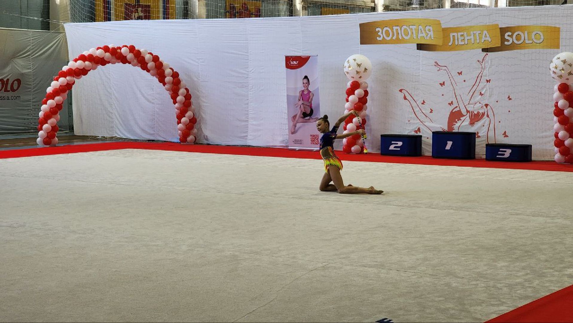 Дмитров, Художественная гимнастика, Минспорта,