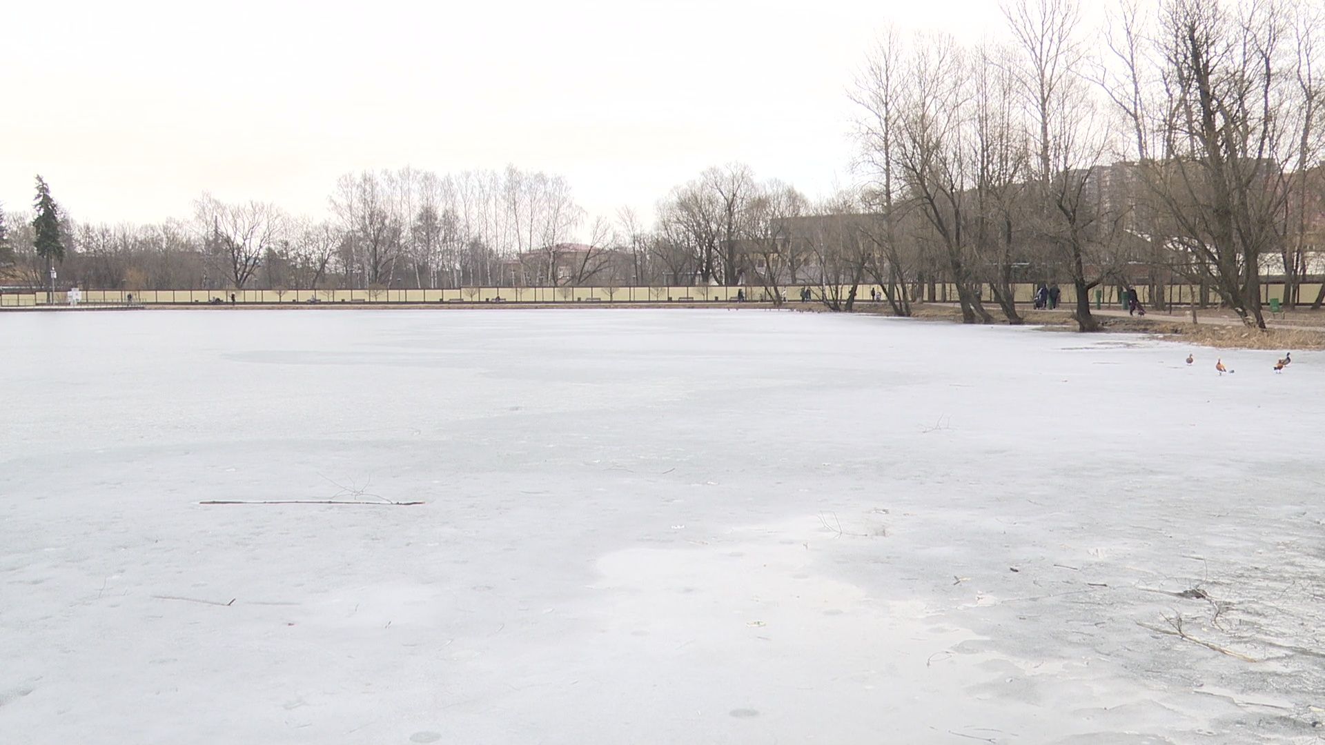 реутов, парк, фабричный пруд, лето, спасательная станция,дежурство,