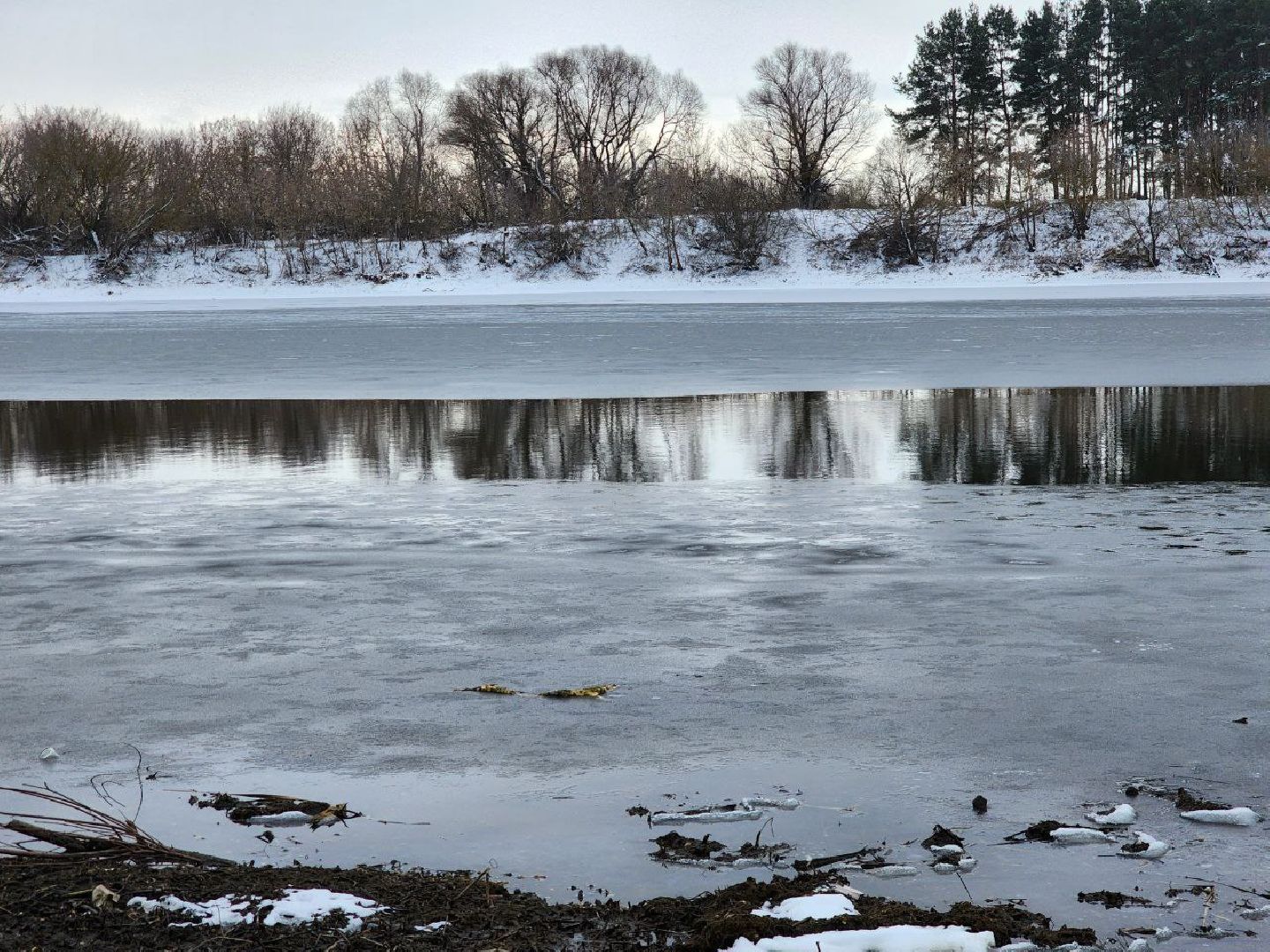 луховицы, озеро исток,