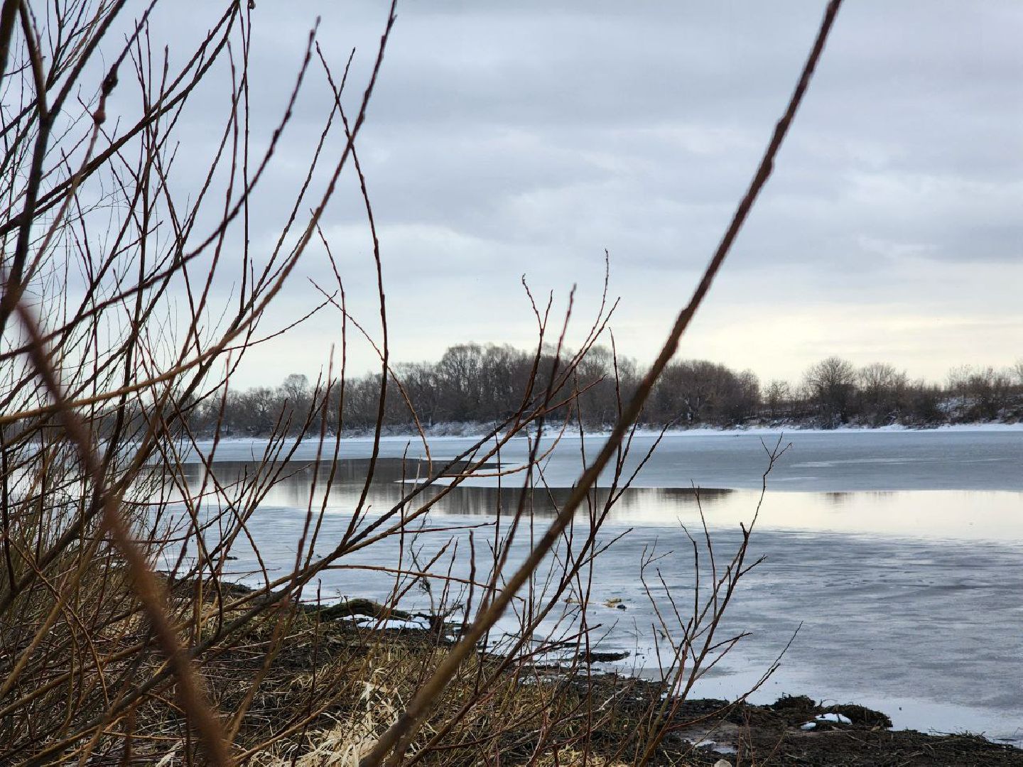 луховицы, озеро исток,