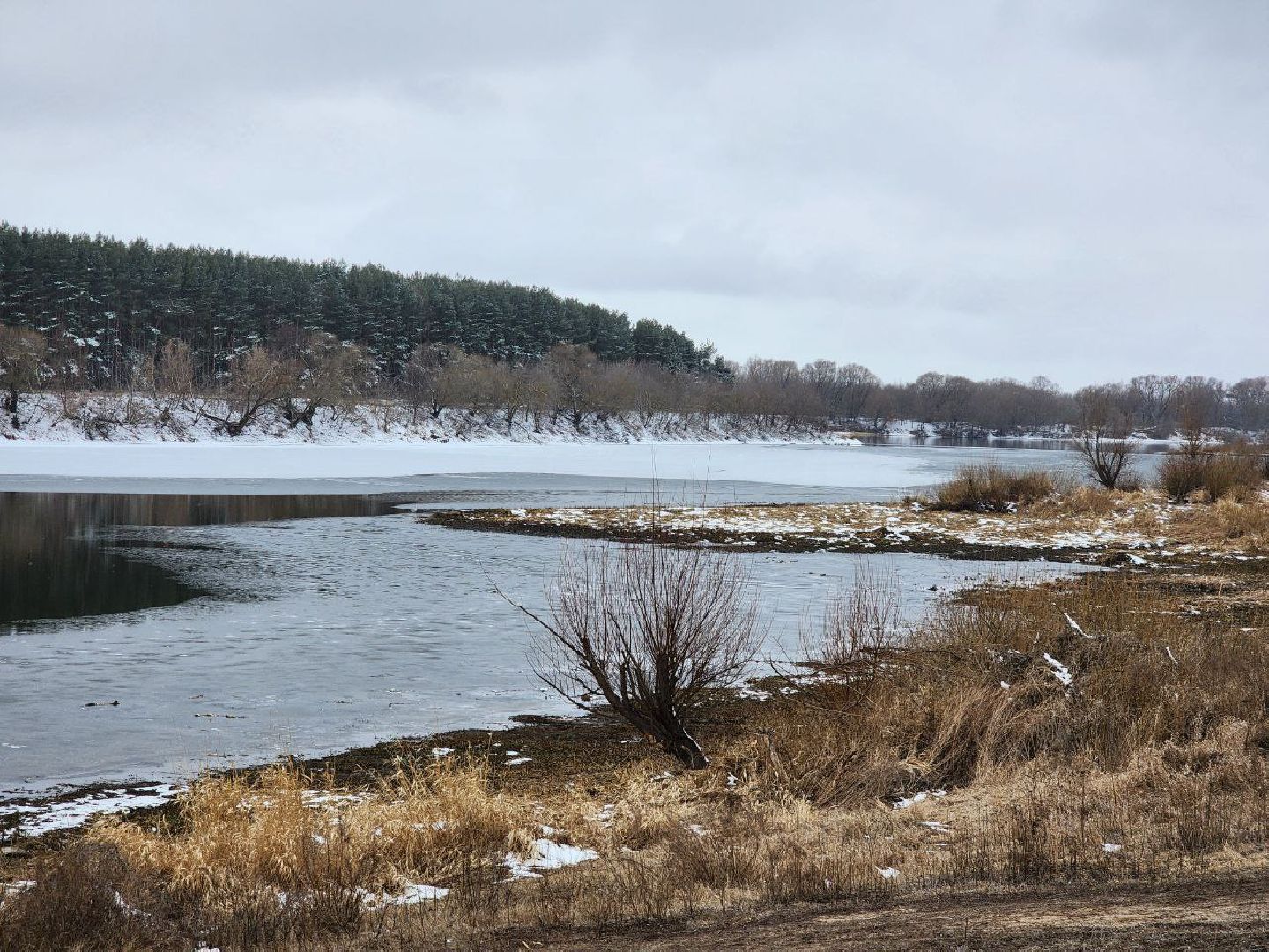 луховицы, озеро исток,