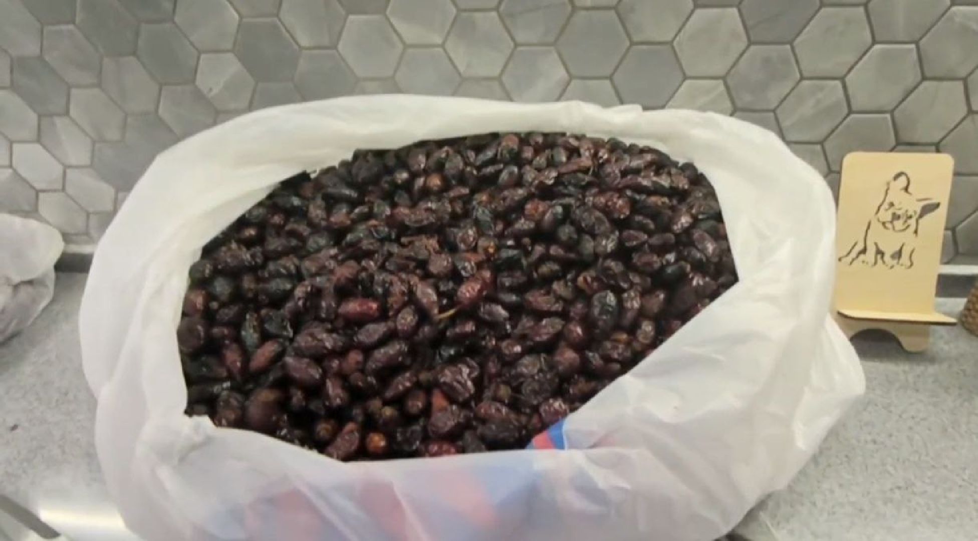 зона сво, матрасы, поролон, юнармейцы, бойцы,