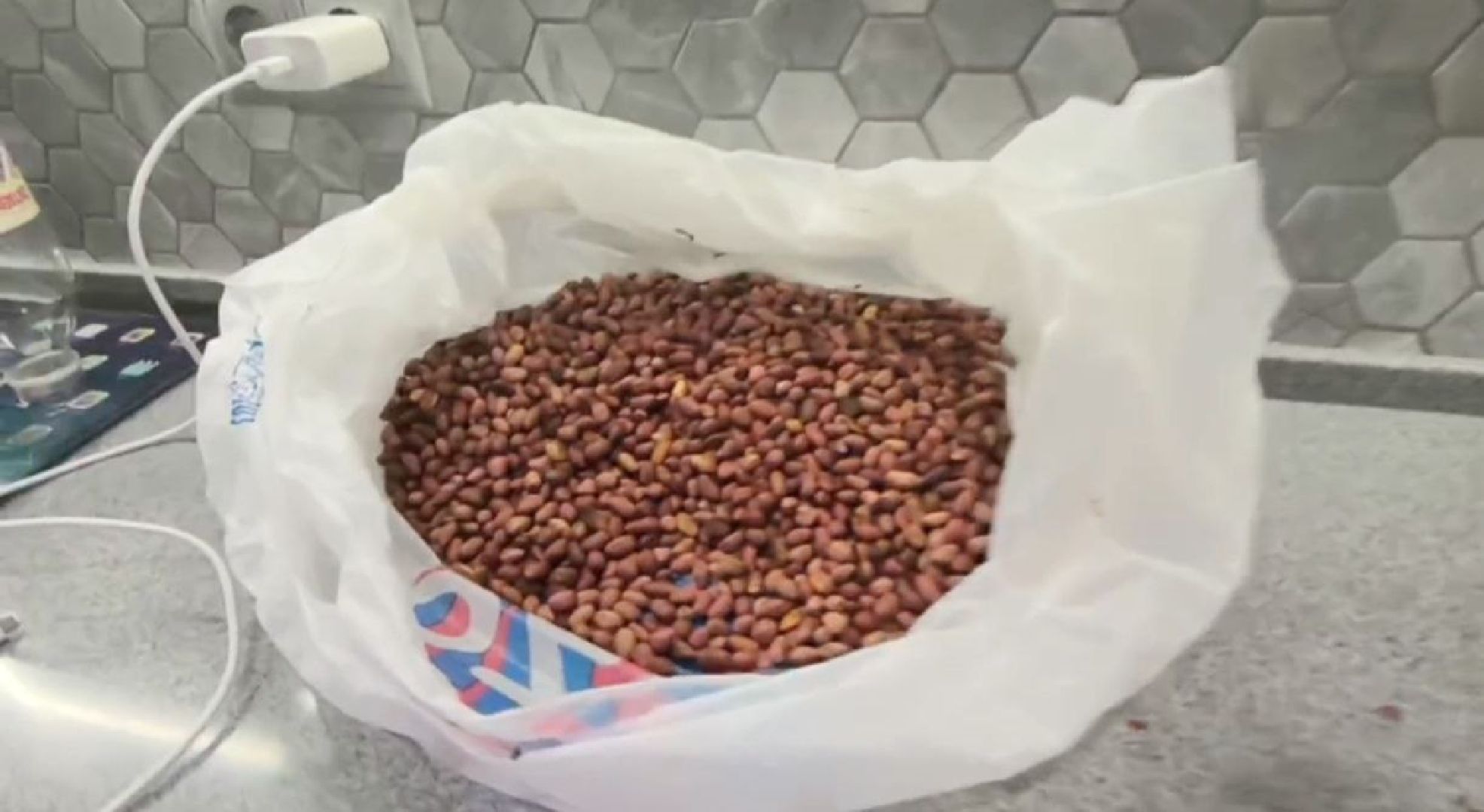 зона сво, матрасы, поролон, юнармейцы, бойцы,