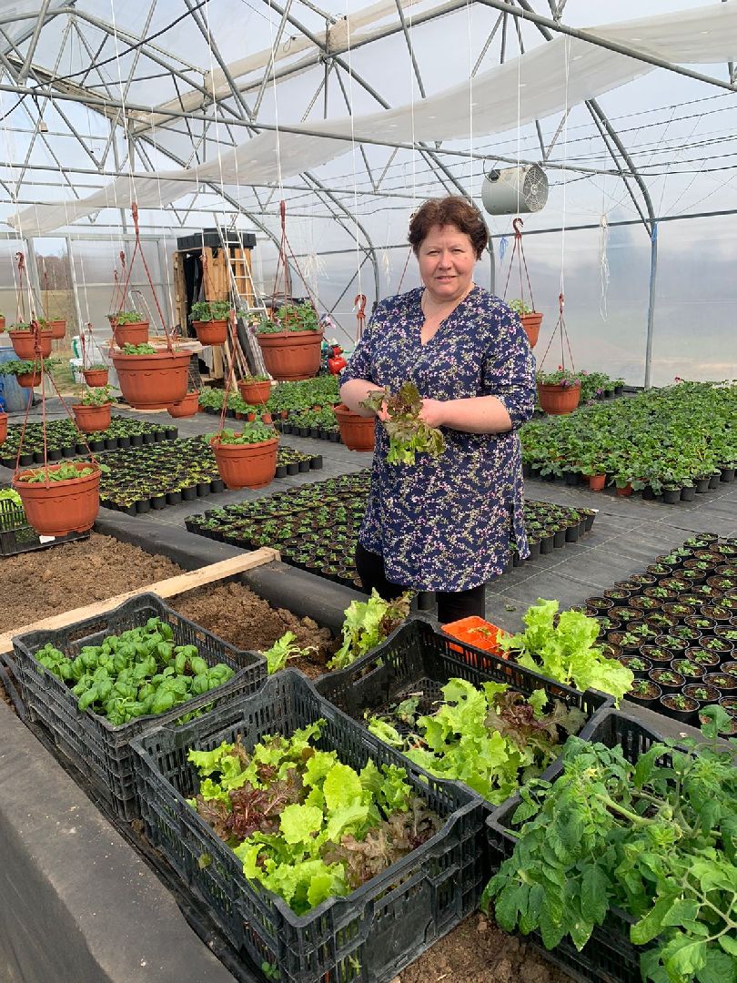 Звенигород, деревня Аксиньино, цветы, бизнес