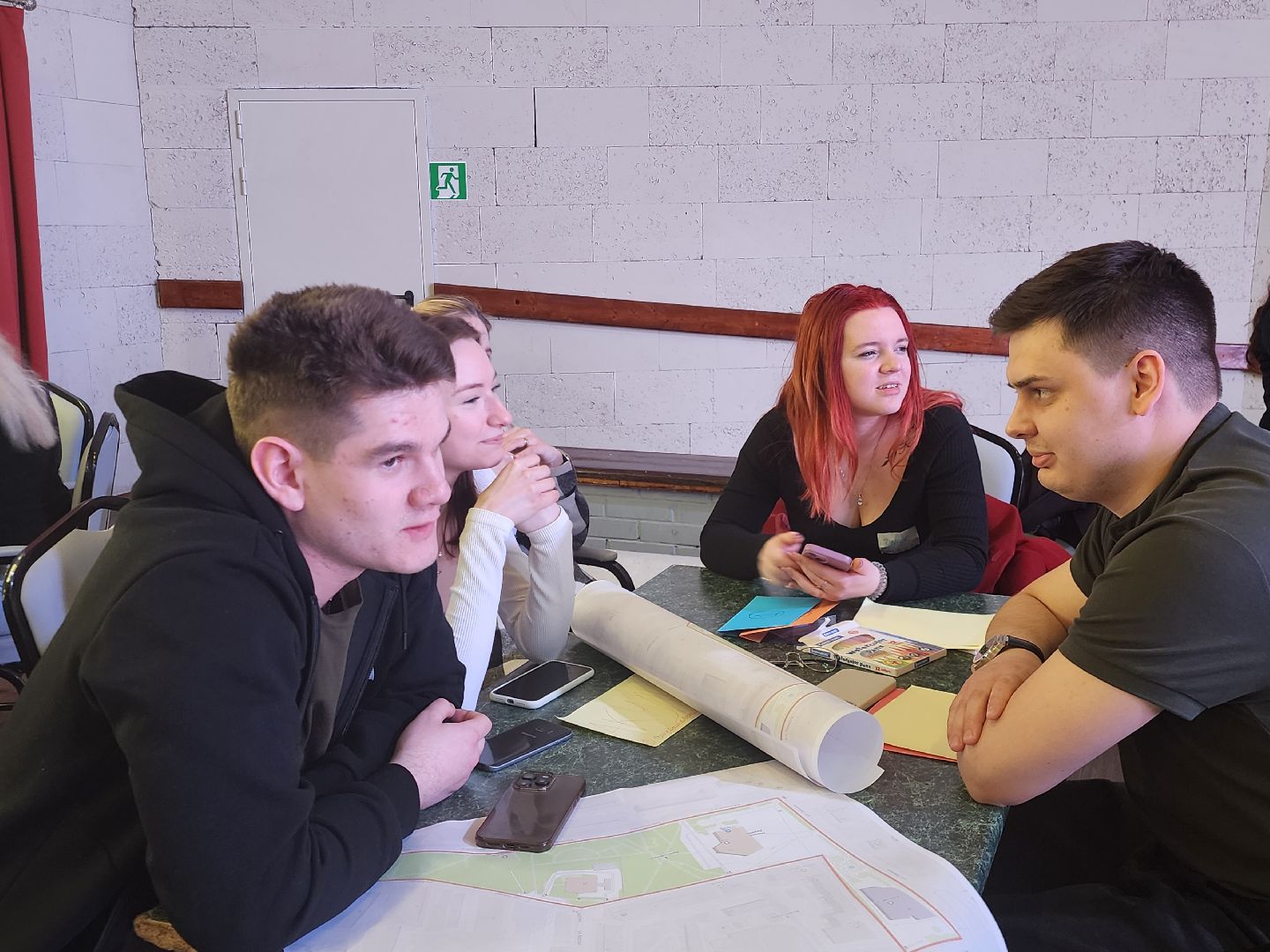 Благоустройство, Проект, Истра,