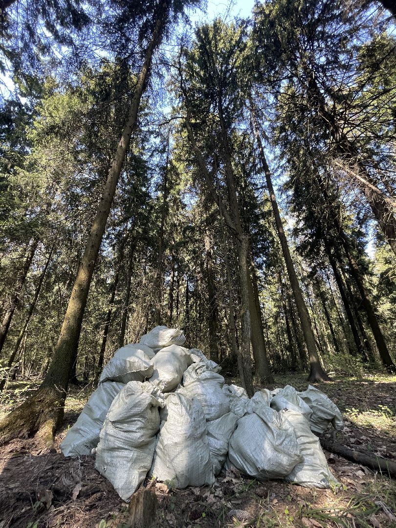 Лес, рейд, мусор, уборка, Юдино, Матвейково, Одинцово, Звенигород, лесничество.