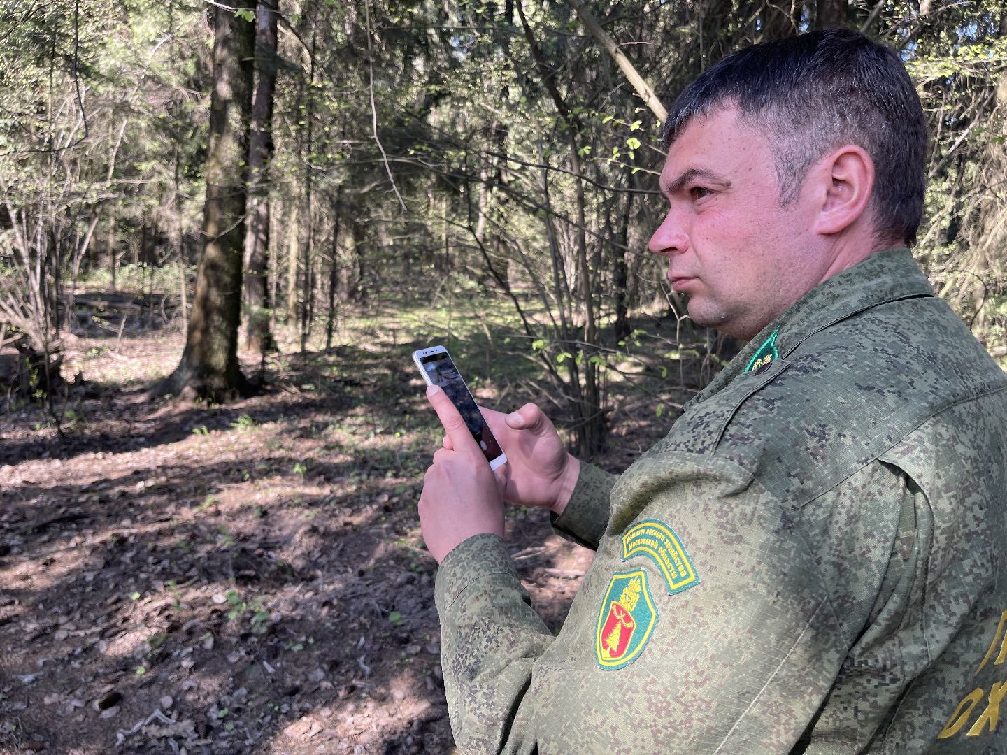 Лес, рейд, мусор, уборка, Юдино, Матвейково, Одинцово, Звенигород, лесничество.