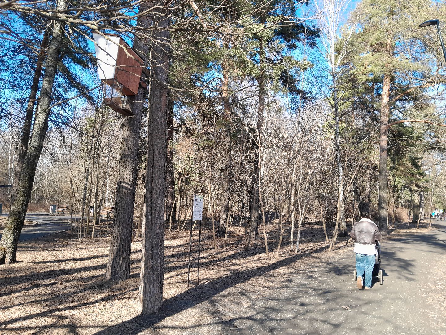 парк, балашиха, семья, прогулки, ольгинский лесопарк,