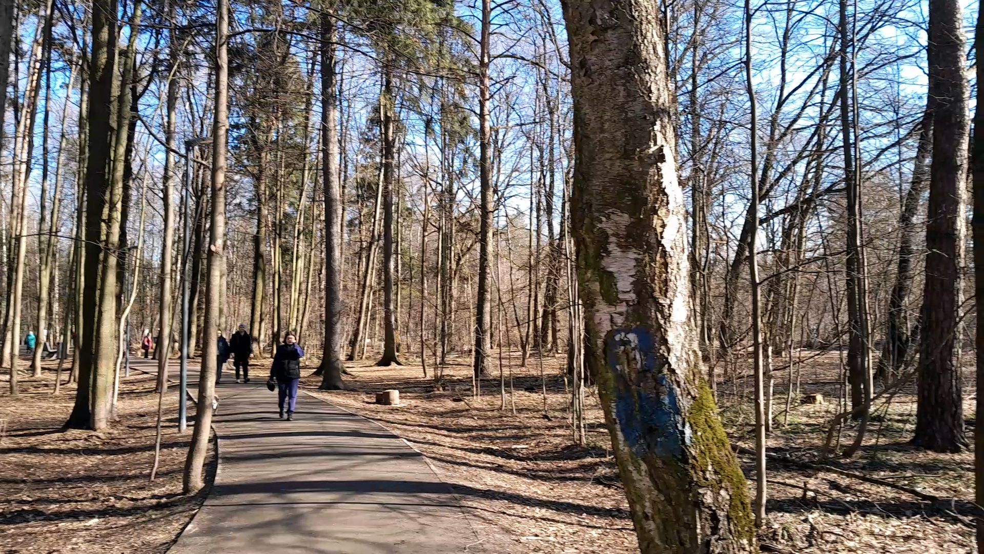 парк, балашиха, семья, прогулки, ольгинский лесопарк,