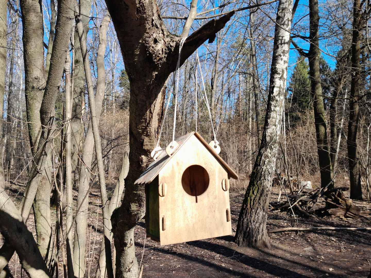 парк, балашиха, семья, прогулки, ольгинский лесопарк,