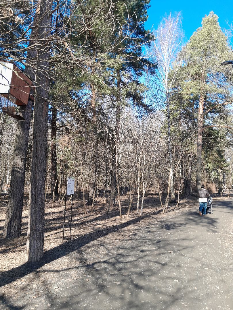 парк, балашиха, семья, прогулки, ольгинский лесопарк,