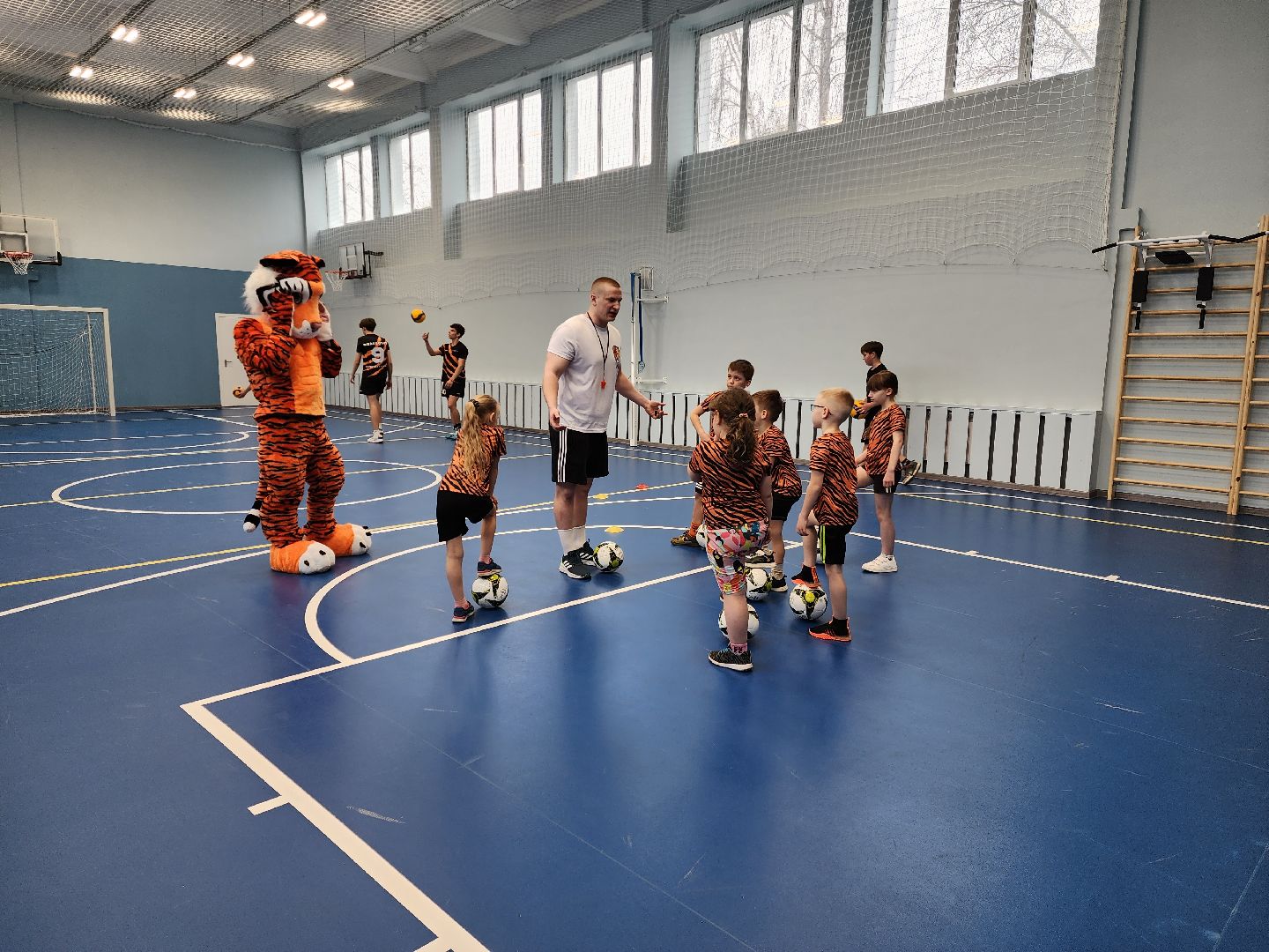 раменское, спорт, спортивный клуб тигры на базе раменского колледжа, набор детей в секции спортивных игр,