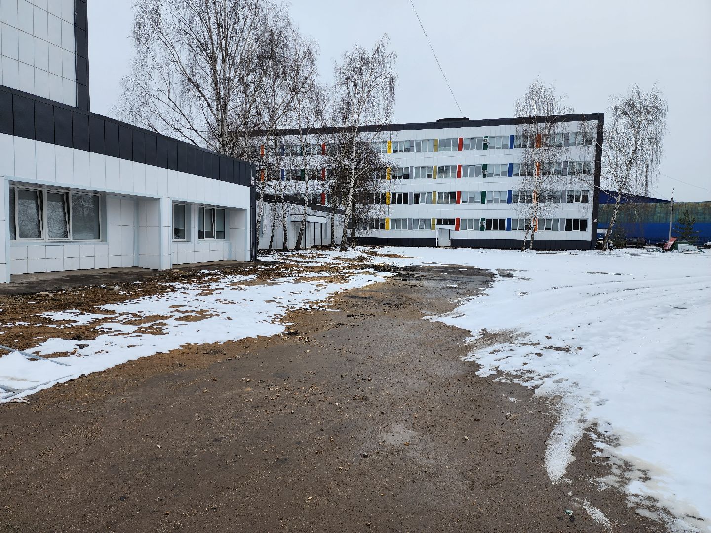 раменское, спорт, спортивный клуб тигры на базе раменского колледжа, набор детей в секции спортивных игр,