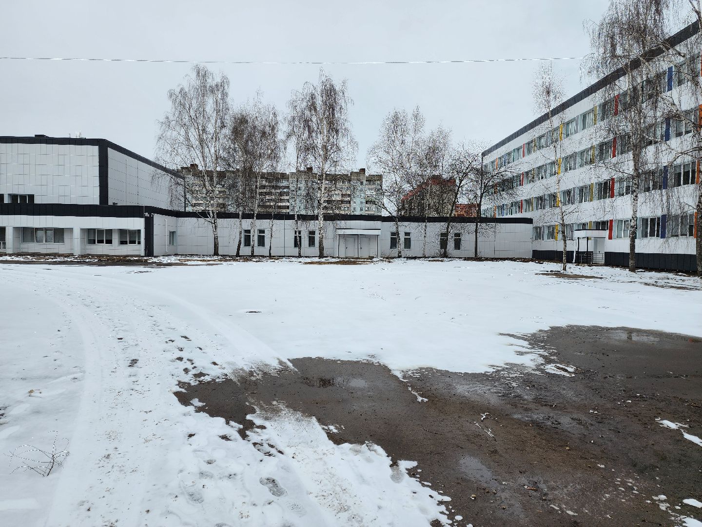 раменское, спорт, спортивный клуб тигры на базе раменского колледжа, набор детей в секции спортивных игр,