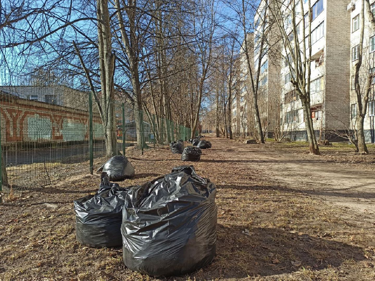 дубна, уборка, уборка дворов, уборка детских площадок, уборка листьев, уборка парка,