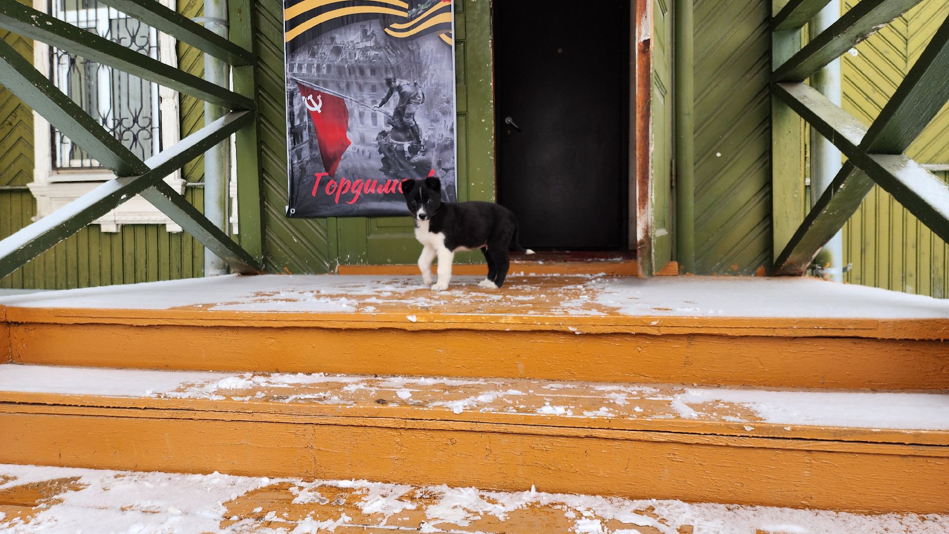 руза, музей милиции, волонтёры, ОМВД, рузский муниципальный округ,