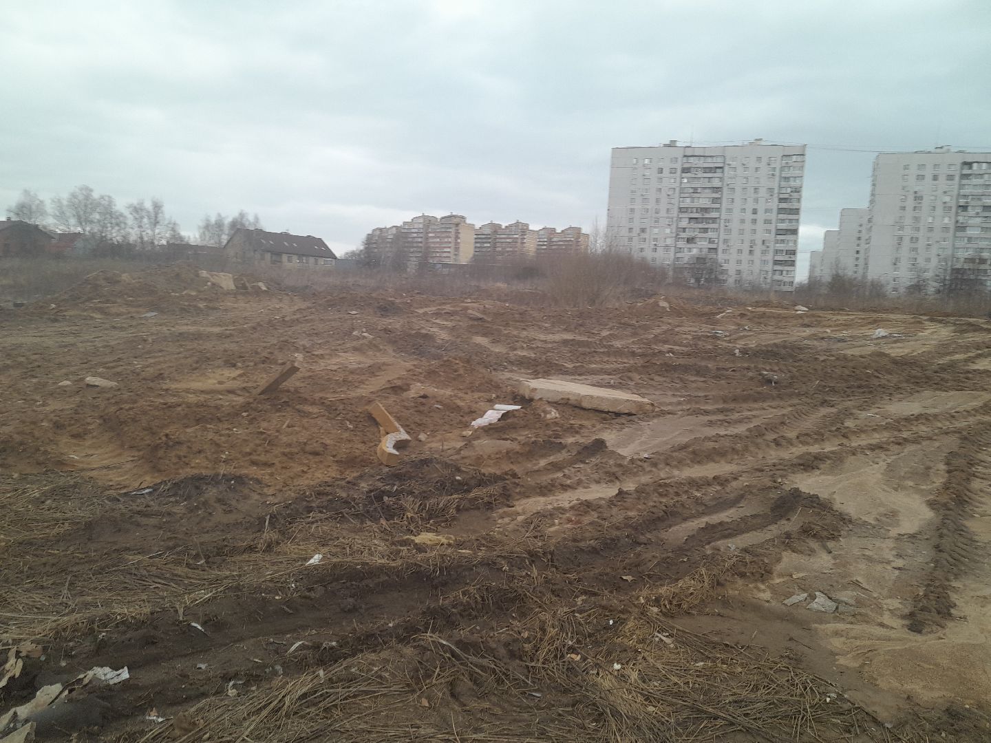 выгул домашних животных, поле, дороги, строительство,