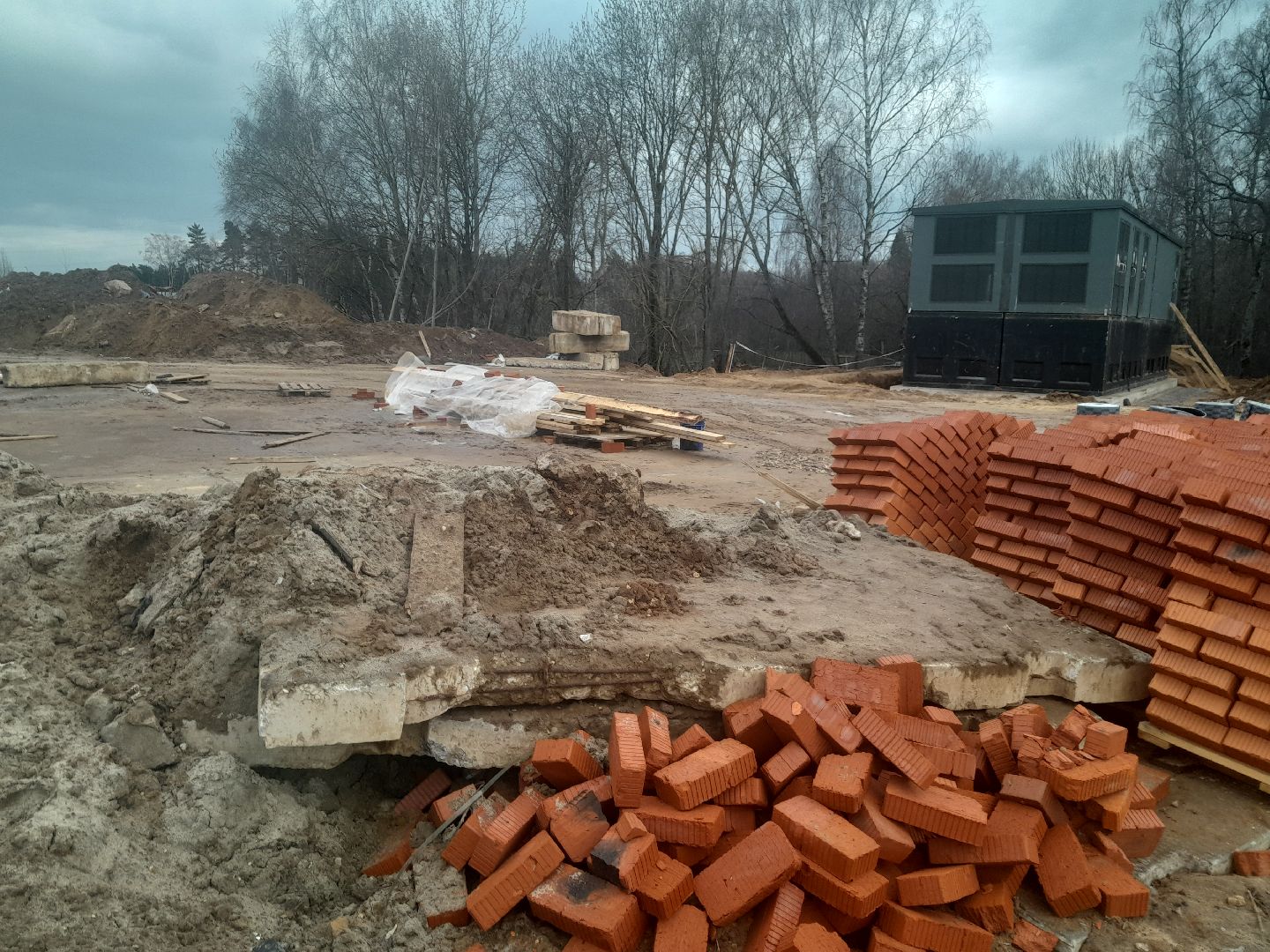 выгул домашних животных, поле, дороги, строительство,