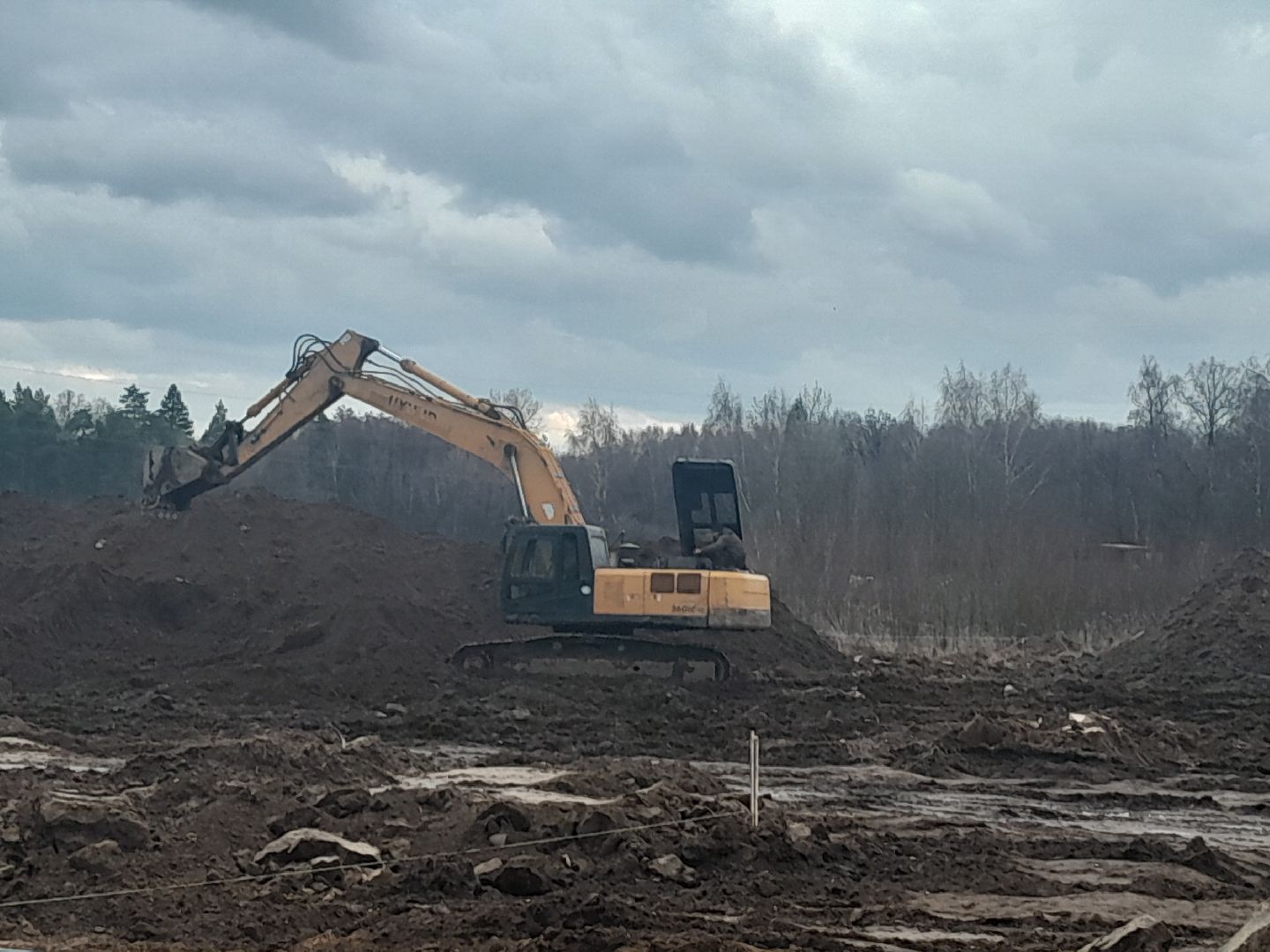 выгул домашних животных, поле, дороги, строительство,
