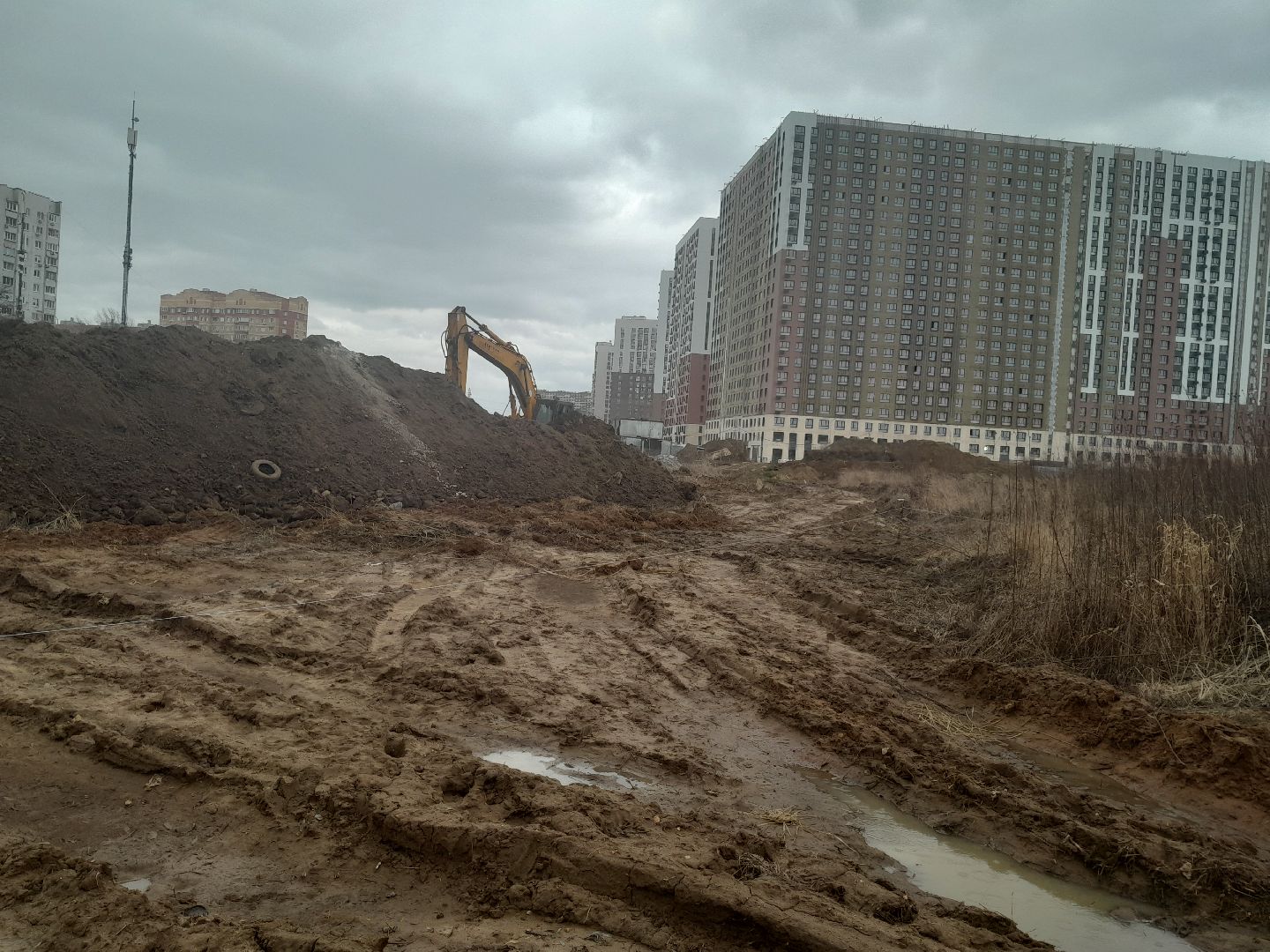 выгул домашних животных, поле, дороги, строительство,