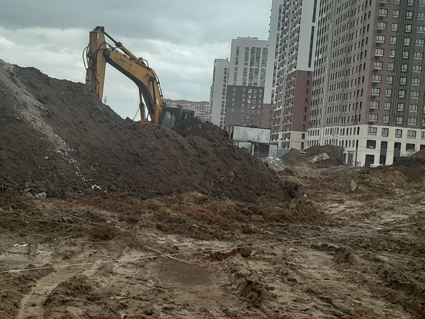 выгул домашних животных, поле, дороги, строительство,