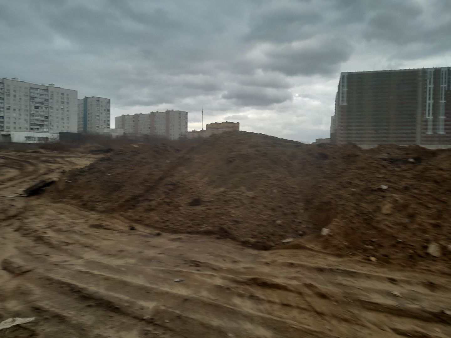 выгул домашних животных, поле, дороги, строительство,