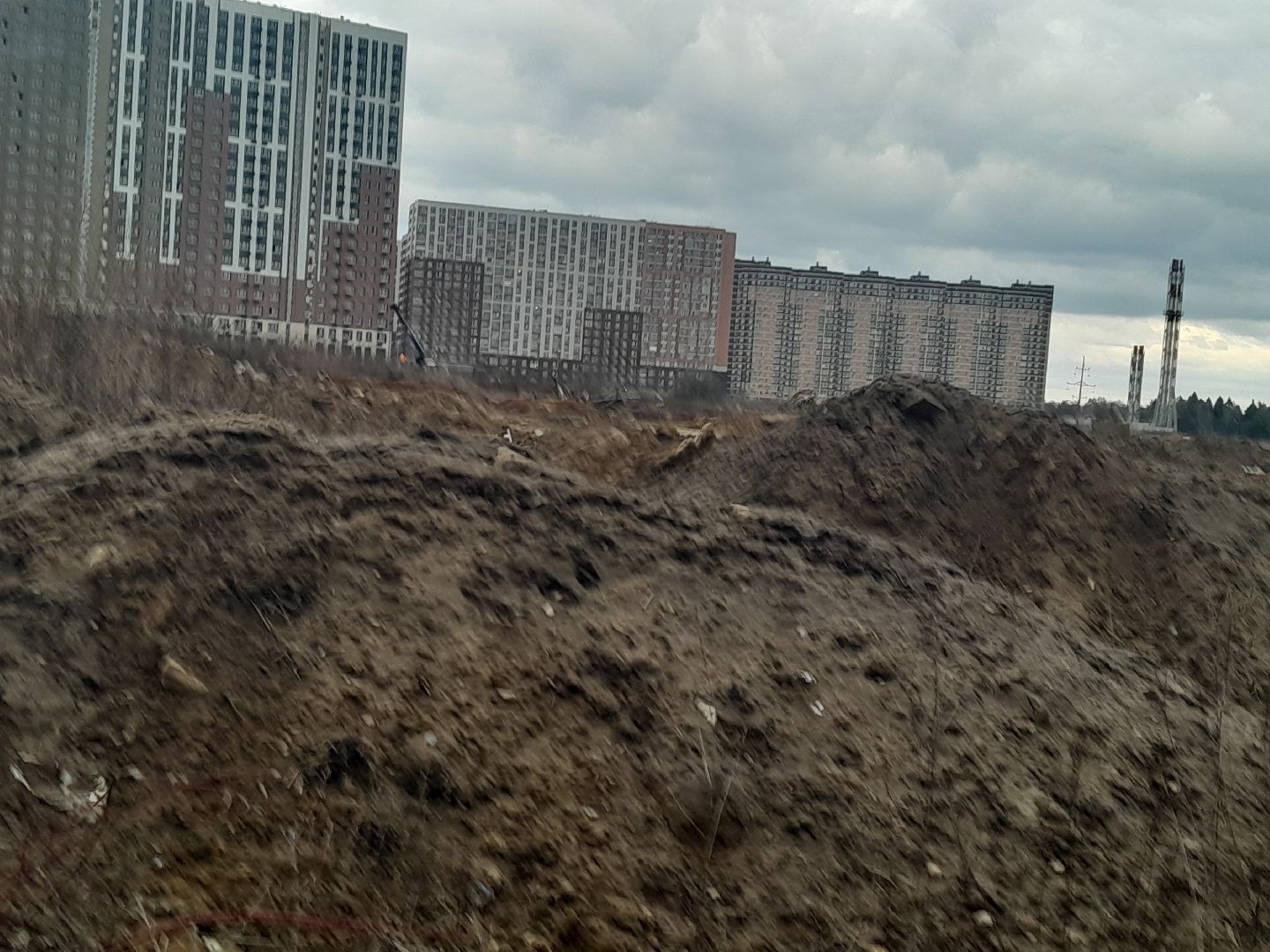 выгул домашних животных, поле, дороги, строительство,