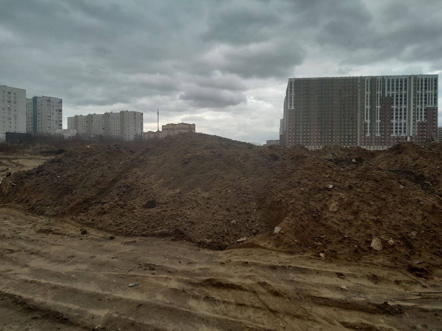 выгул домашних животных, поле, дороги, строительство,