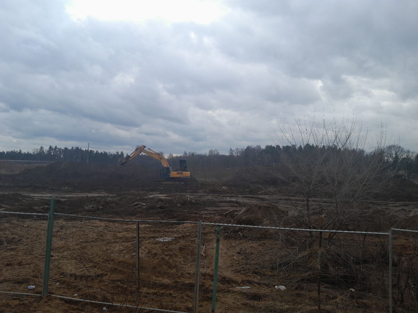 выгул домашних животных, поле, дороги, строительство,