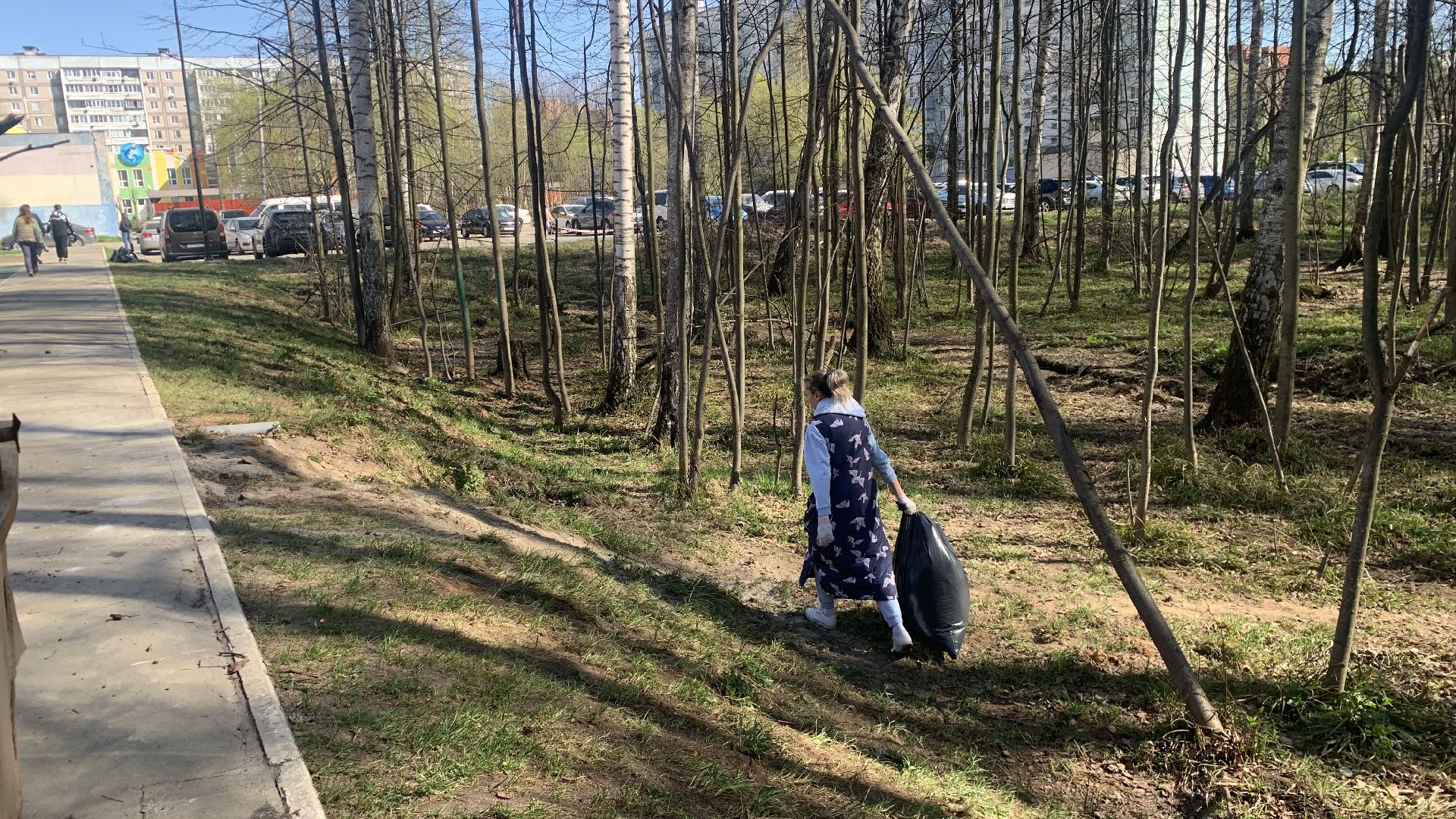 Ступино, мфюа, студенты, субботник