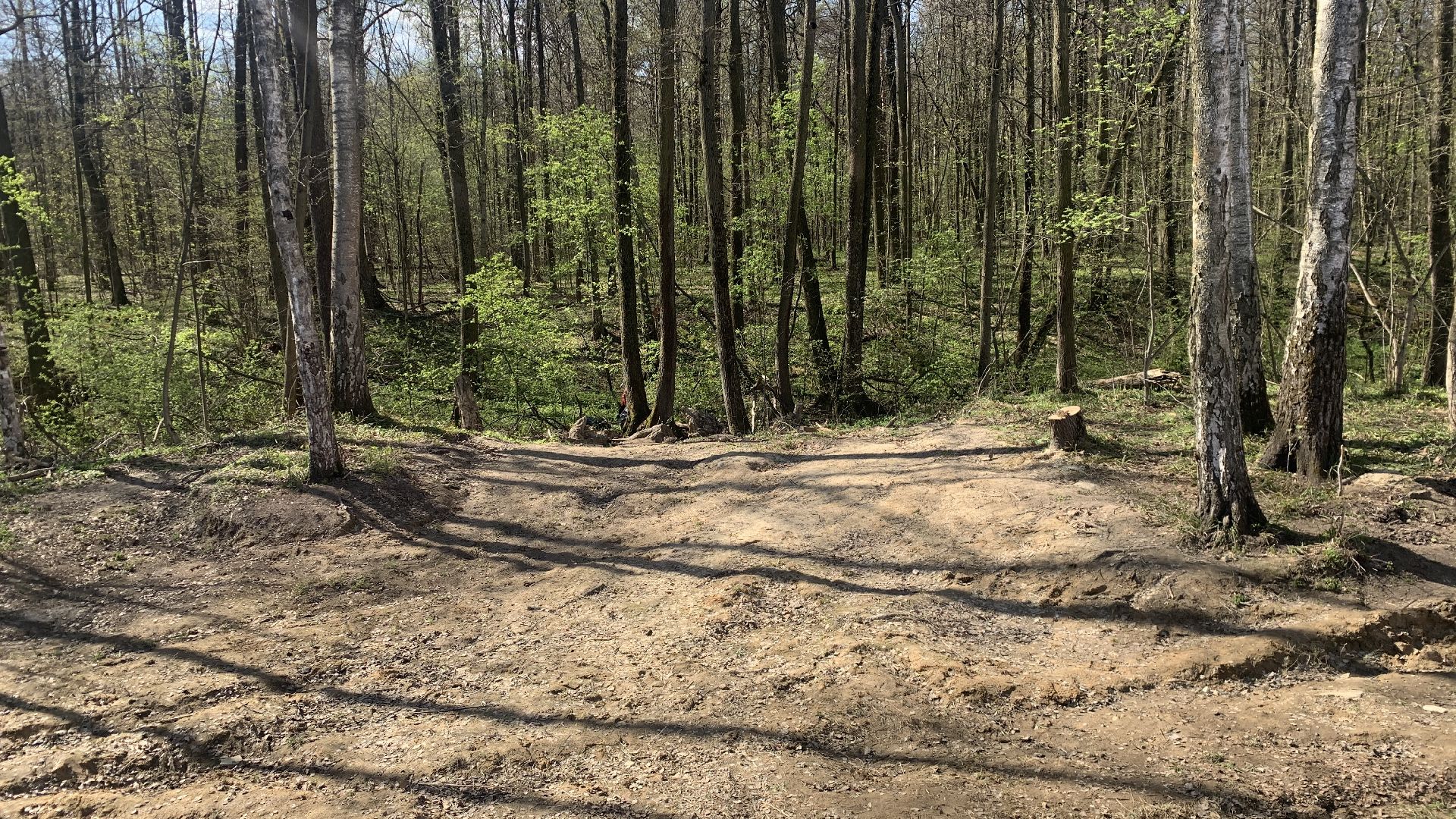 Ступино, мфюа, студенты, субботник