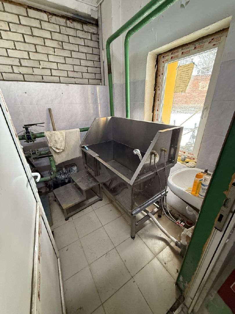 щенки, собаки-проводники, слепые,