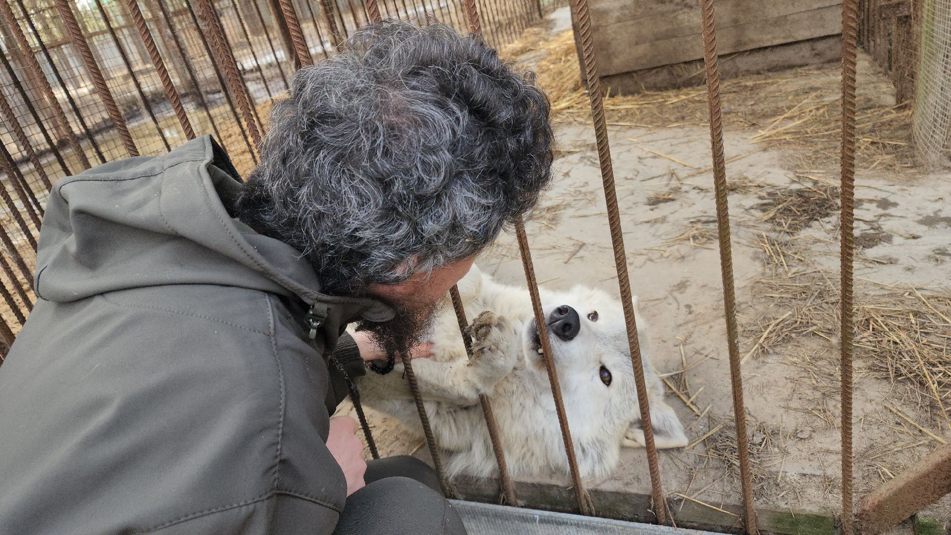 приют, волонтеры, благотворительность,