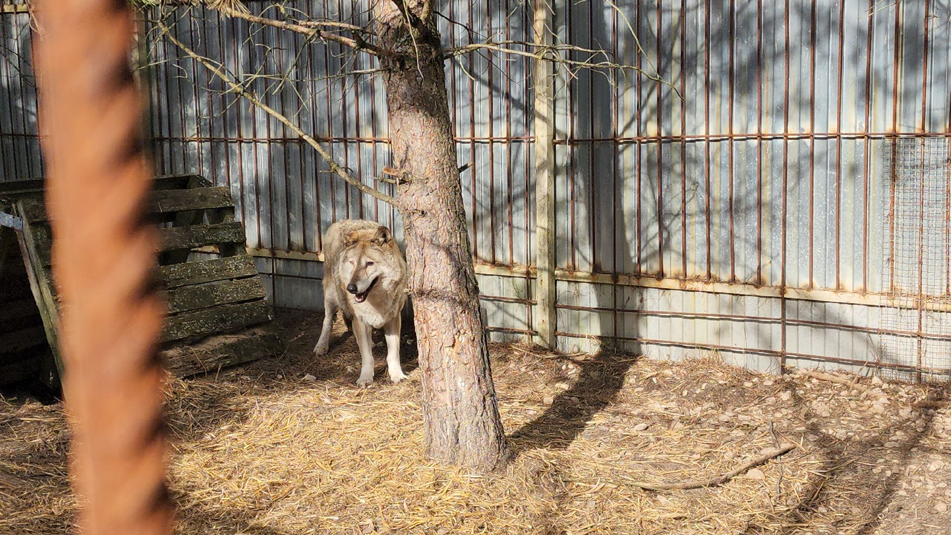 приют, волонтеры, благотворительность,